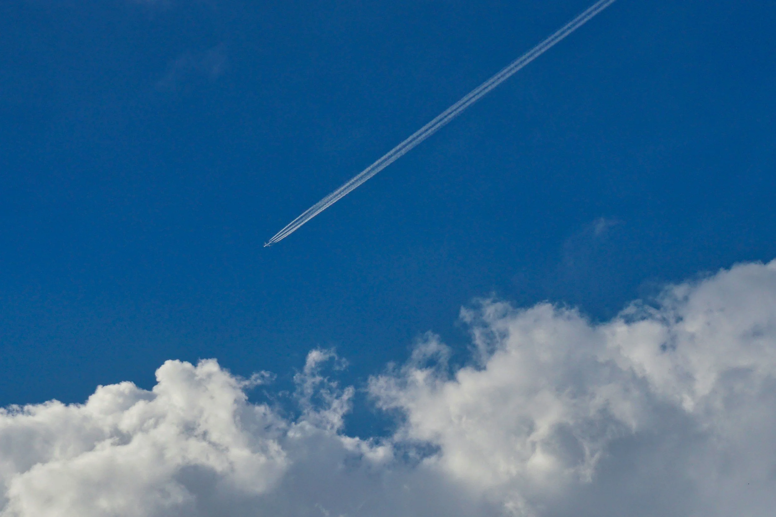Ministers urged to fast-track Doncaster Sheffield Airport airspace proposals to take advantage of new sectors