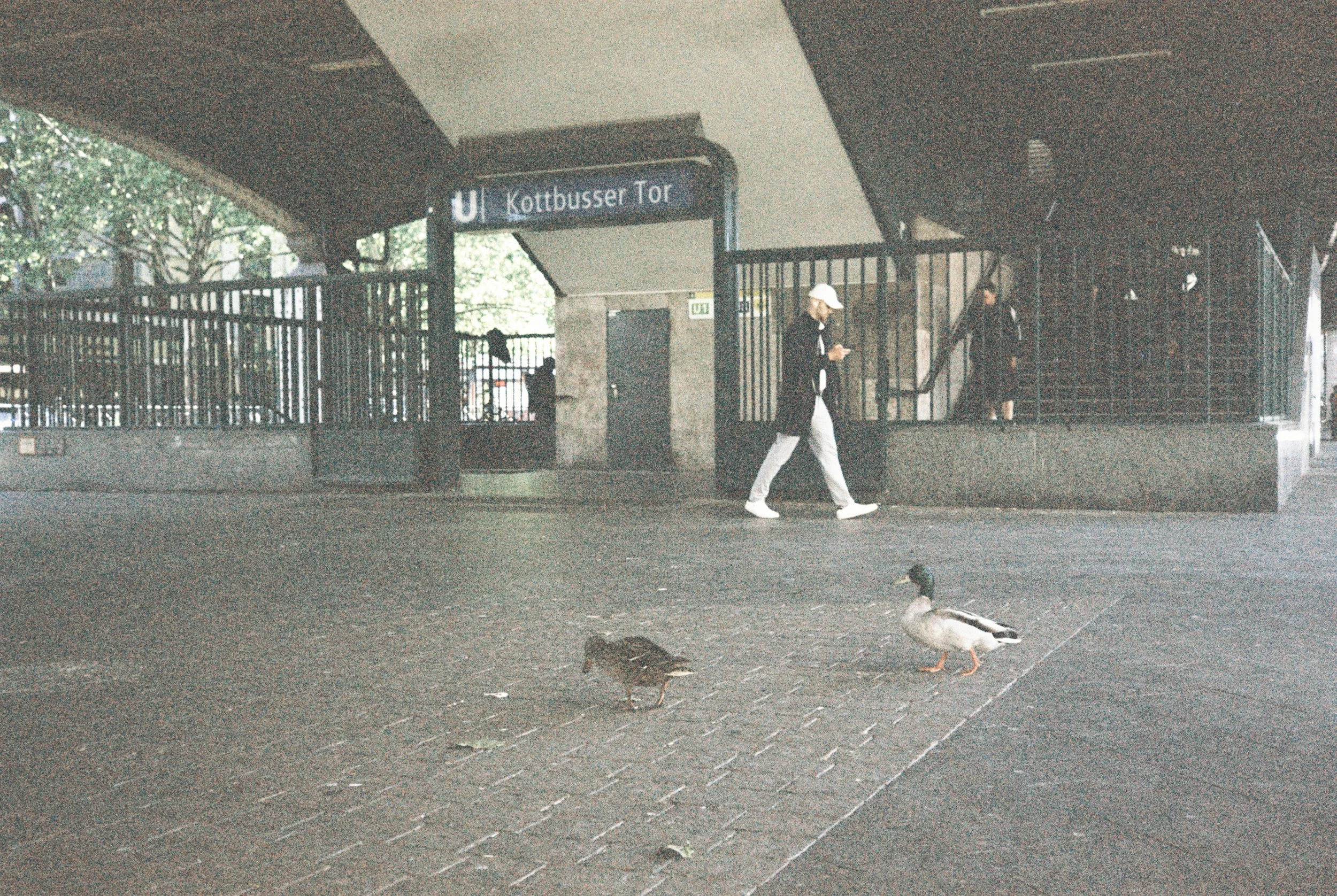 R1-02195-050A.JPG