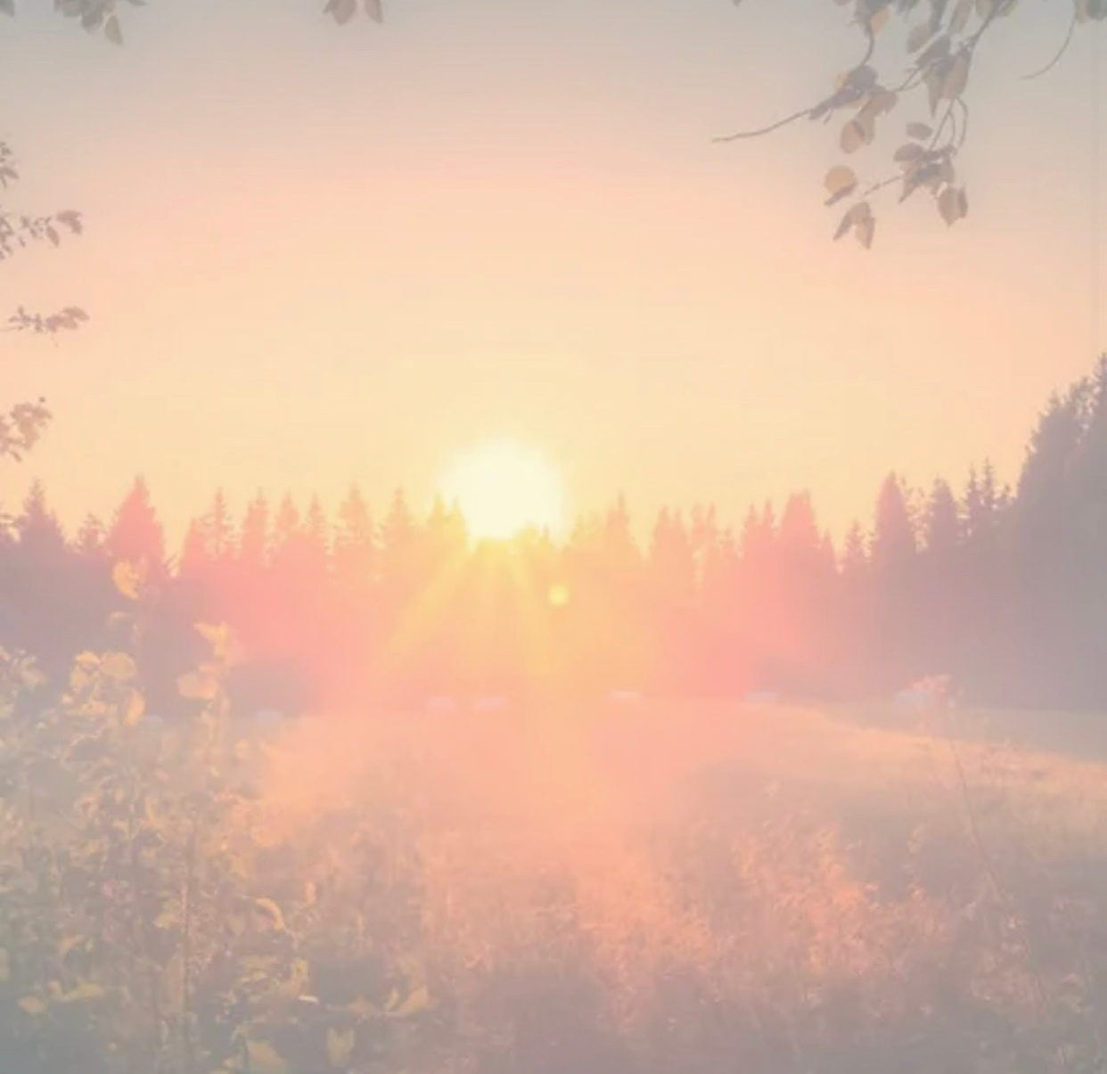 summersolstice blank.png