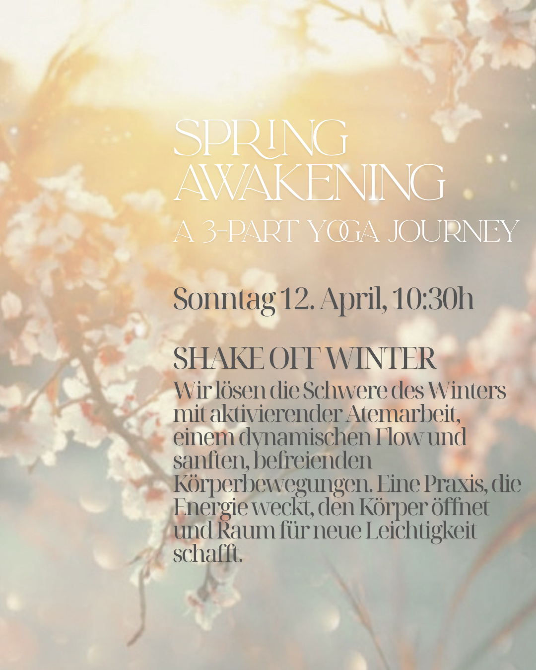 _Spring Awakening Slides (Instagram Post (45)).png