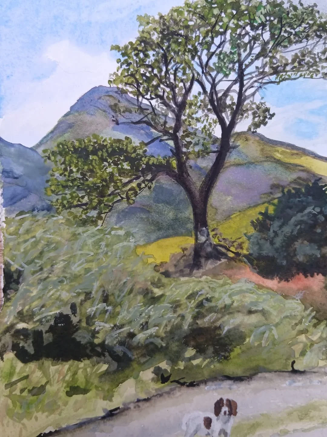 A great day to be alive!

#lochbuie #mull #isleofmull #highlands #highlandsandislands #scotland #dog #heather #hills #watercolour #watercolours  #watercolor #aquarelle #kunst