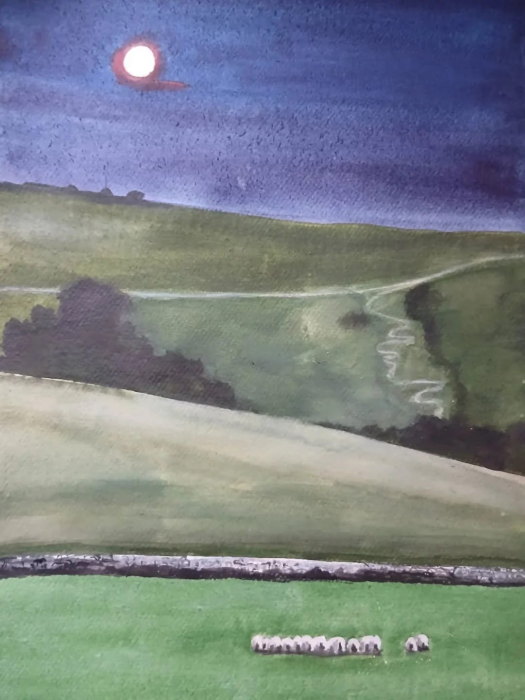 Down with the light

 #southdowns #sussex #night #moonlight #watercolour