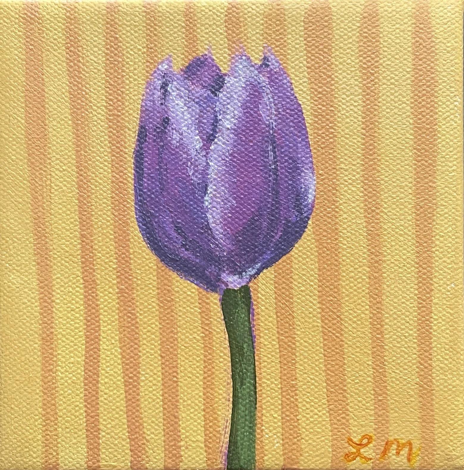 SpringTulip.jpg