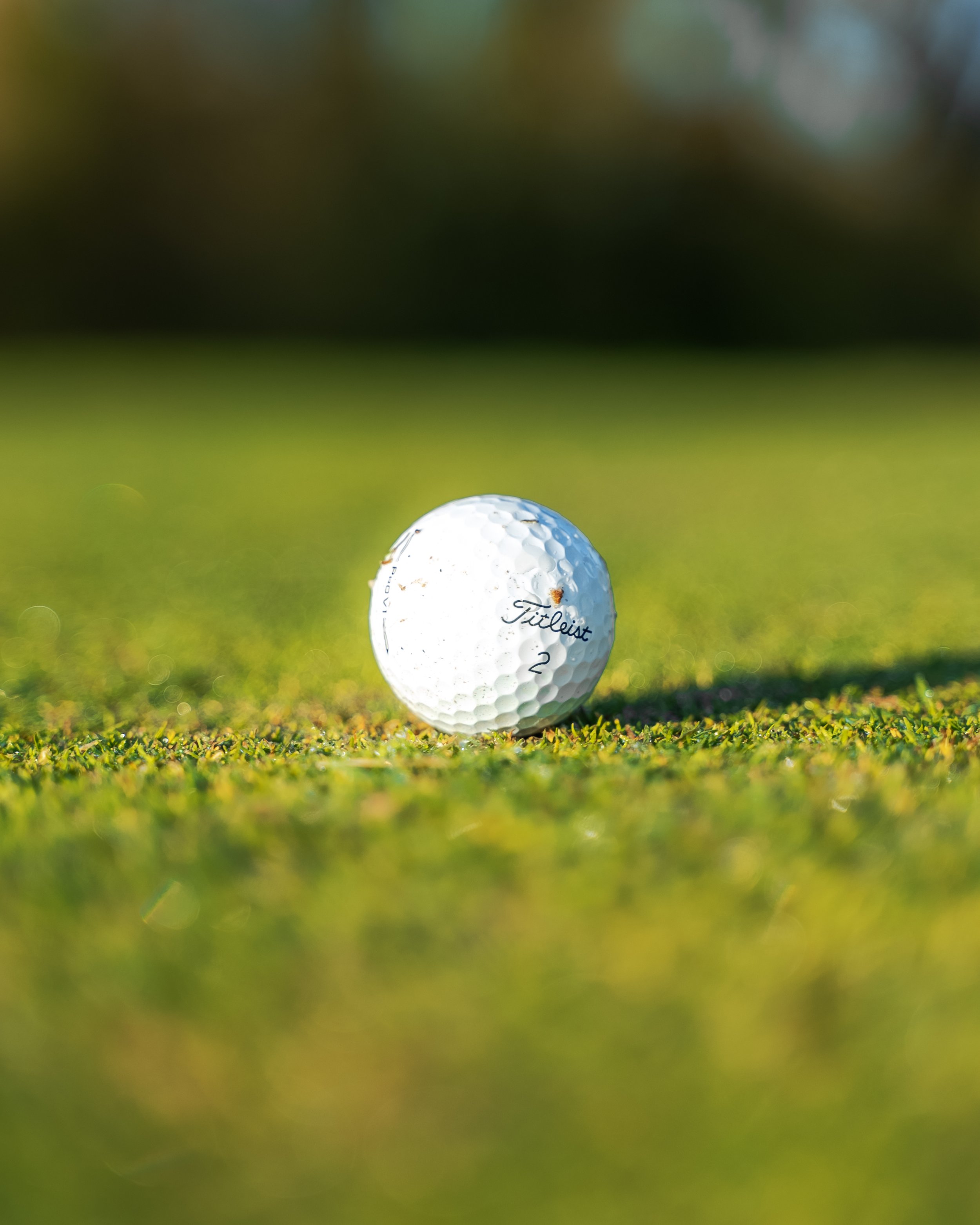 Golf_-16.jpg