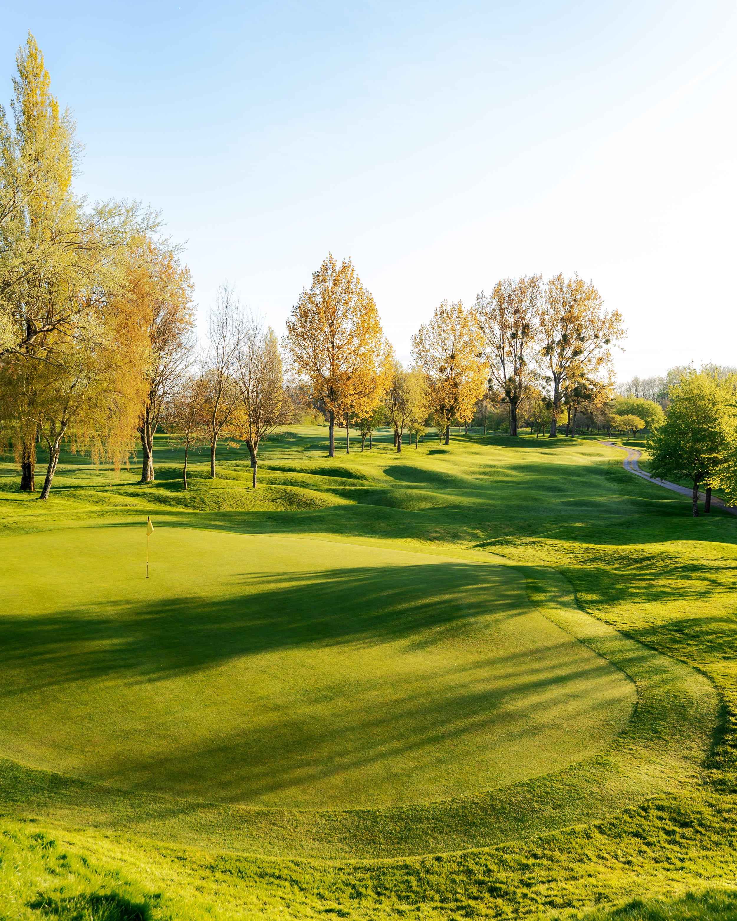 Golf_-4.jpg