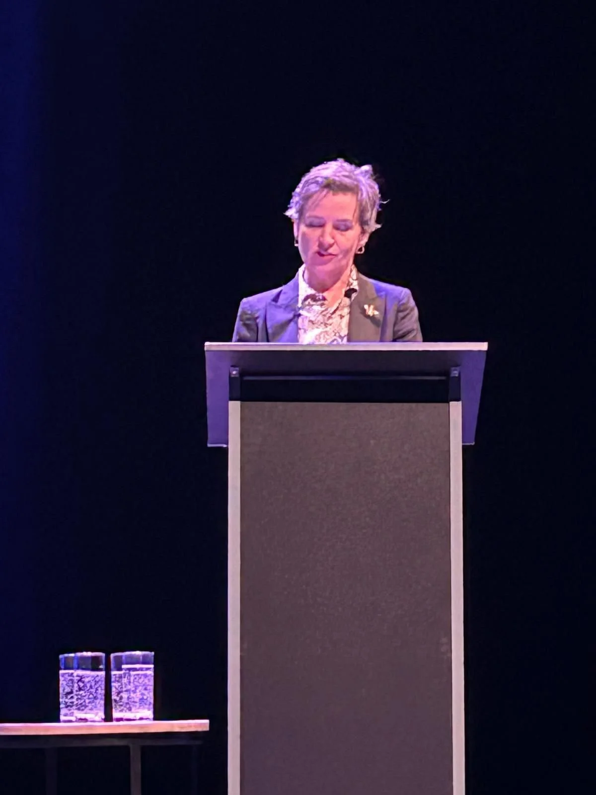 Mary at podium speaking.jpeg