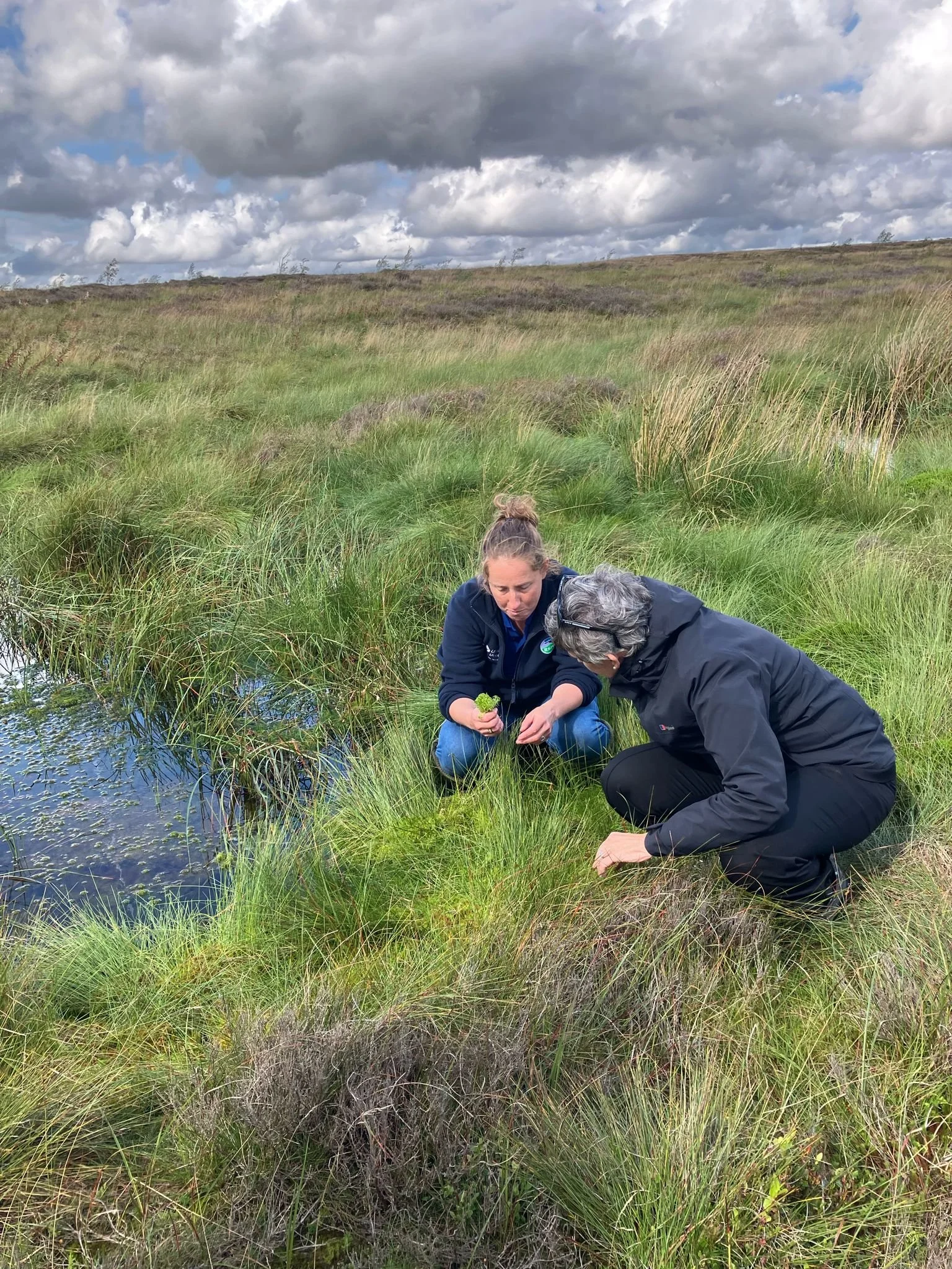 Mary Creagh MP announces £47m funding boost for English peatlands