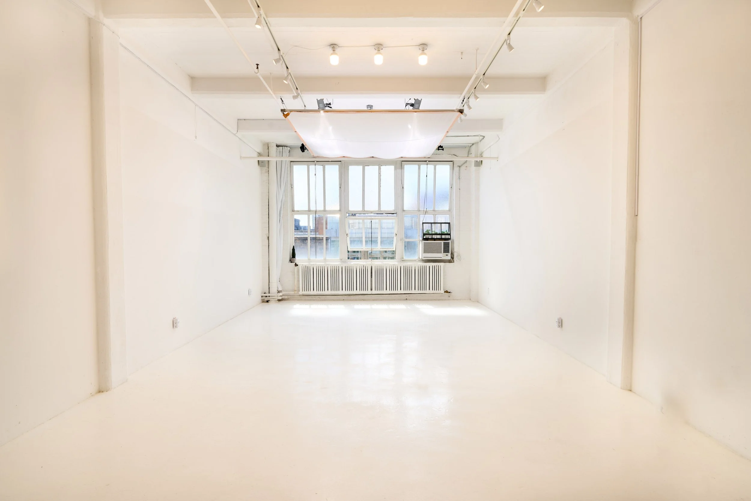 An empty white room with large windows and a radiator near the window. The ceiling has several ceiling lights and a large softbox light. Two small plants are placed on the window sill.