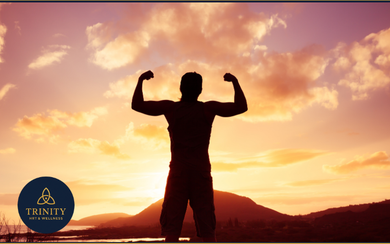 Why Testosterone Levels Decline After 40