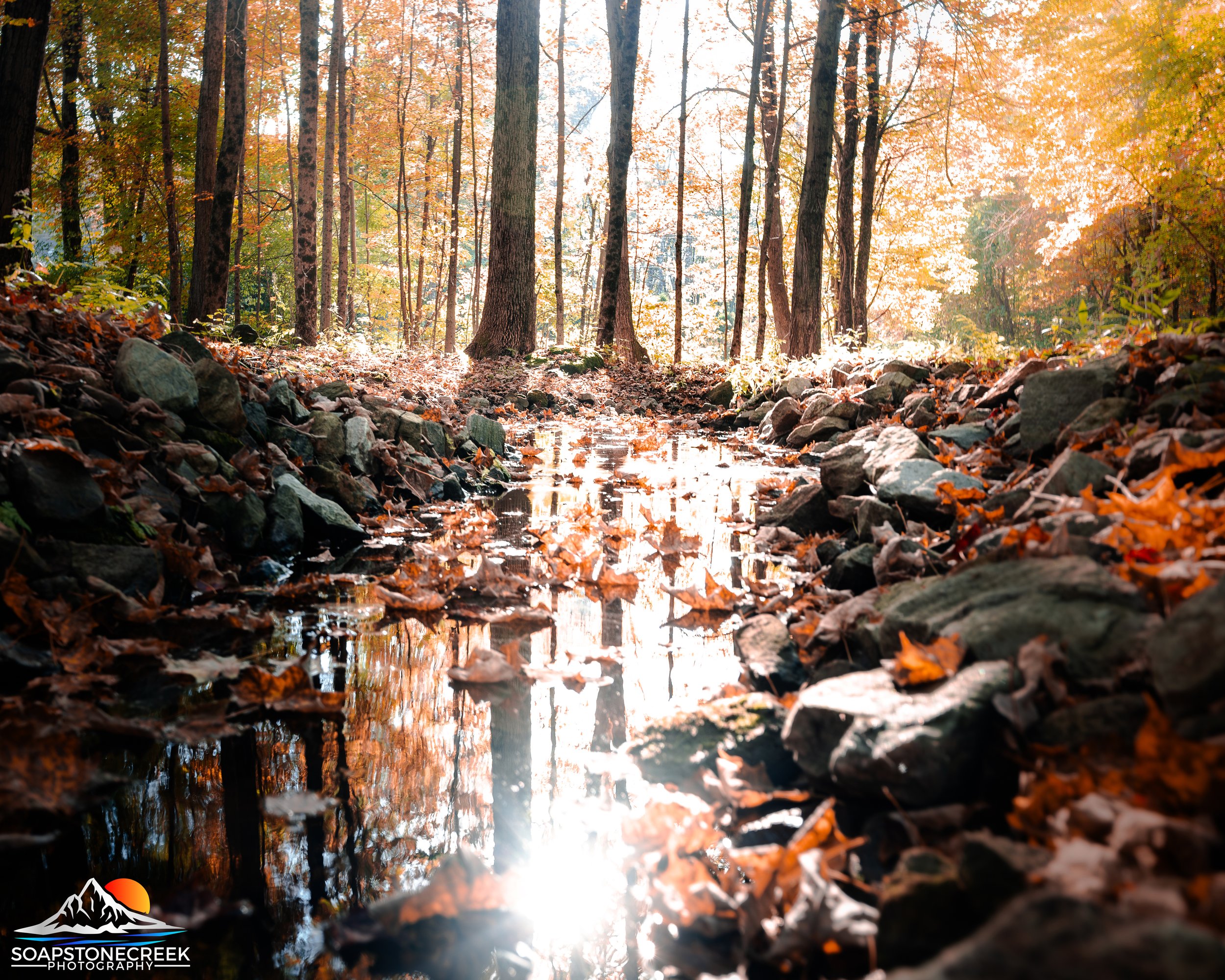 _DSC7427-Enhanced-NR.jpg