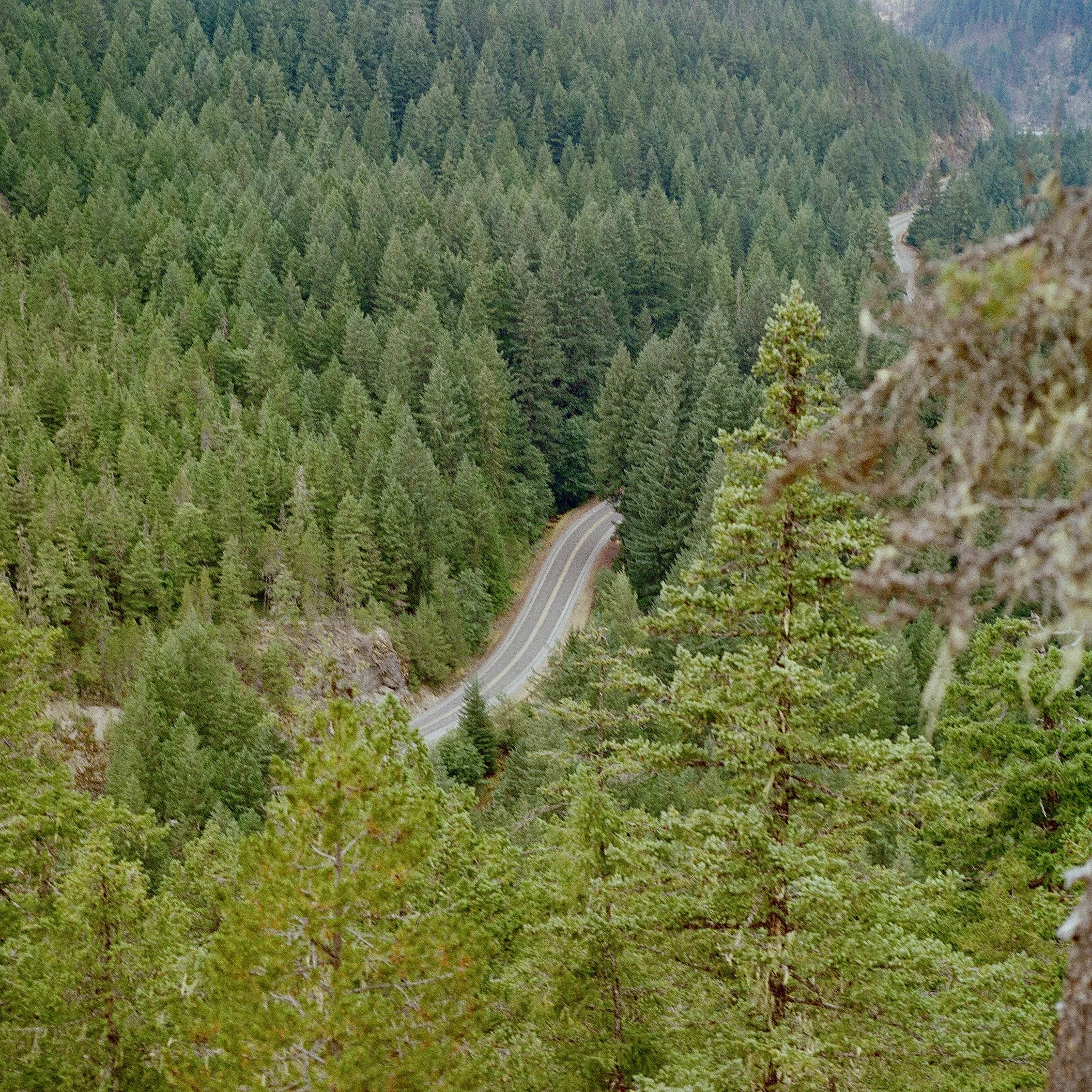 IMG_6872.jpg
