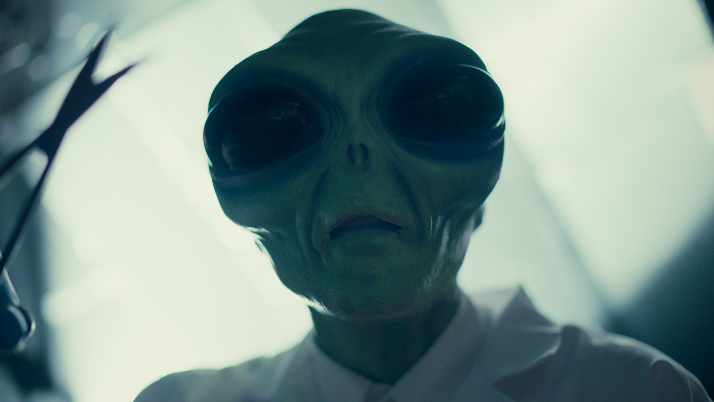 Abductee
