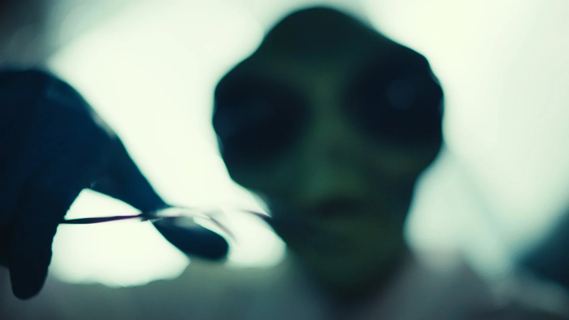 Abductee