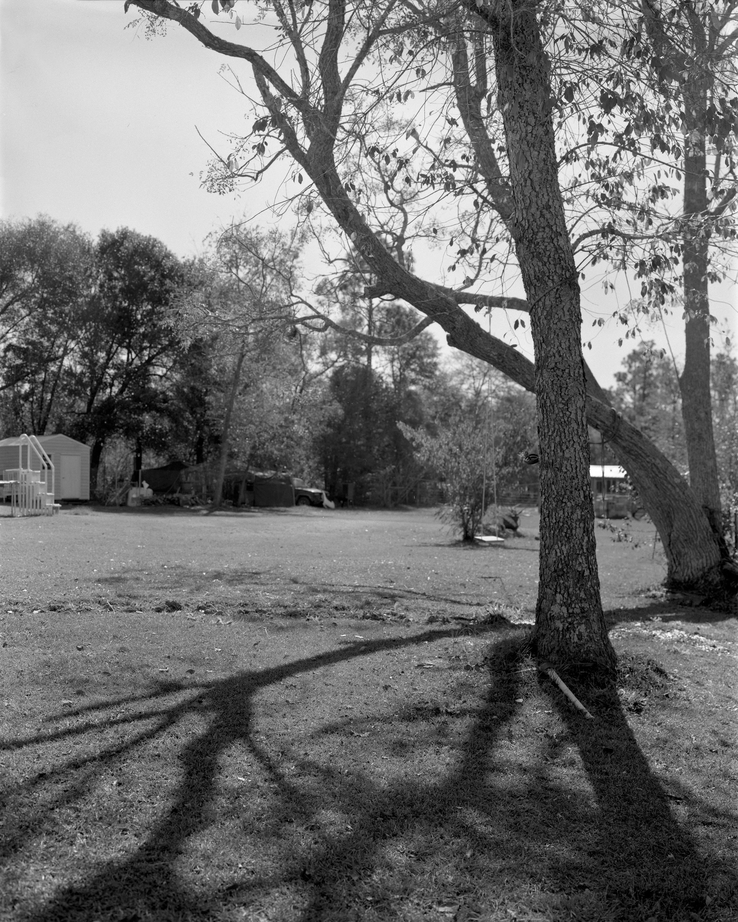 CalderonVargas_4x5_06.jpg