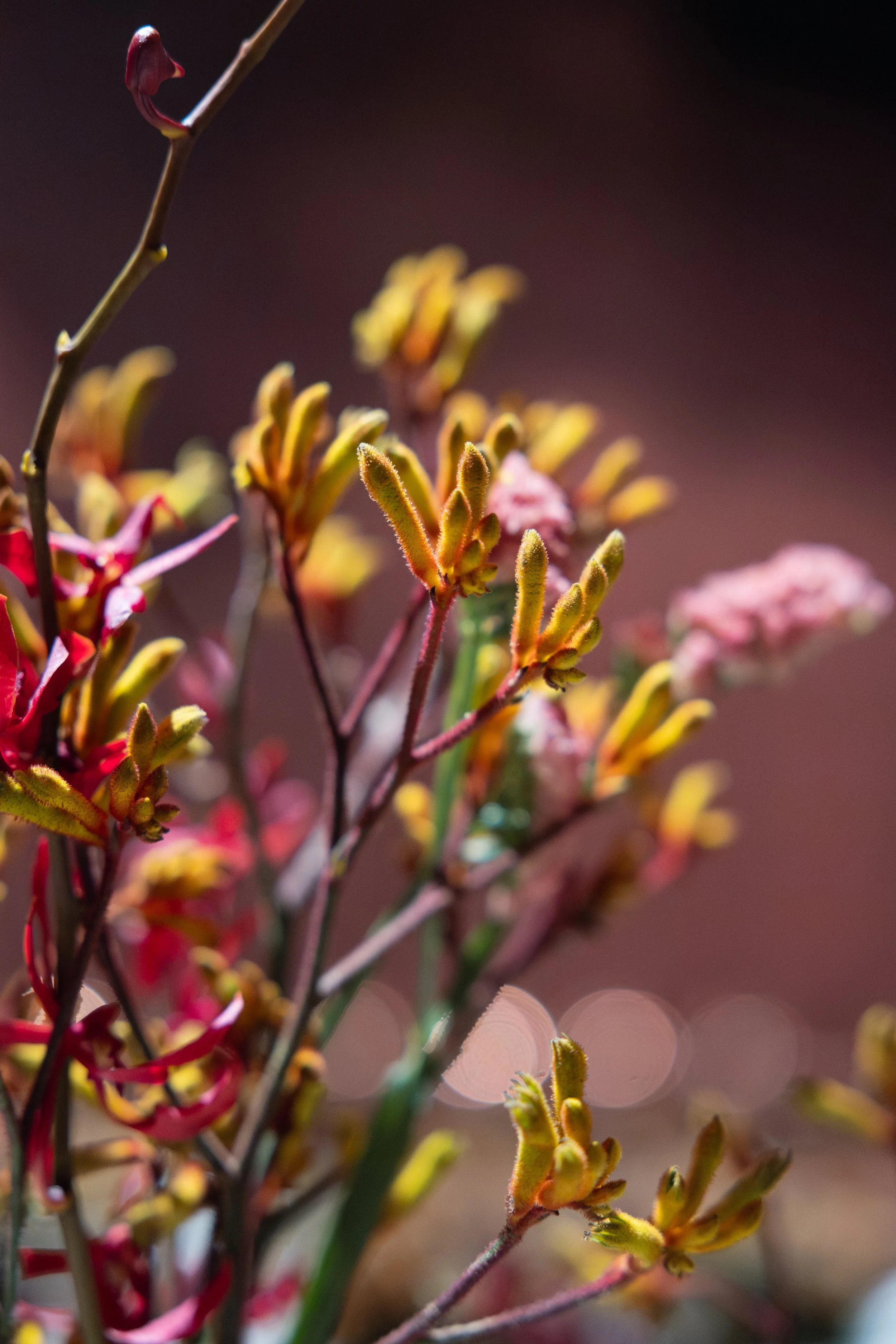 18.09.25 A&G_582.jpg