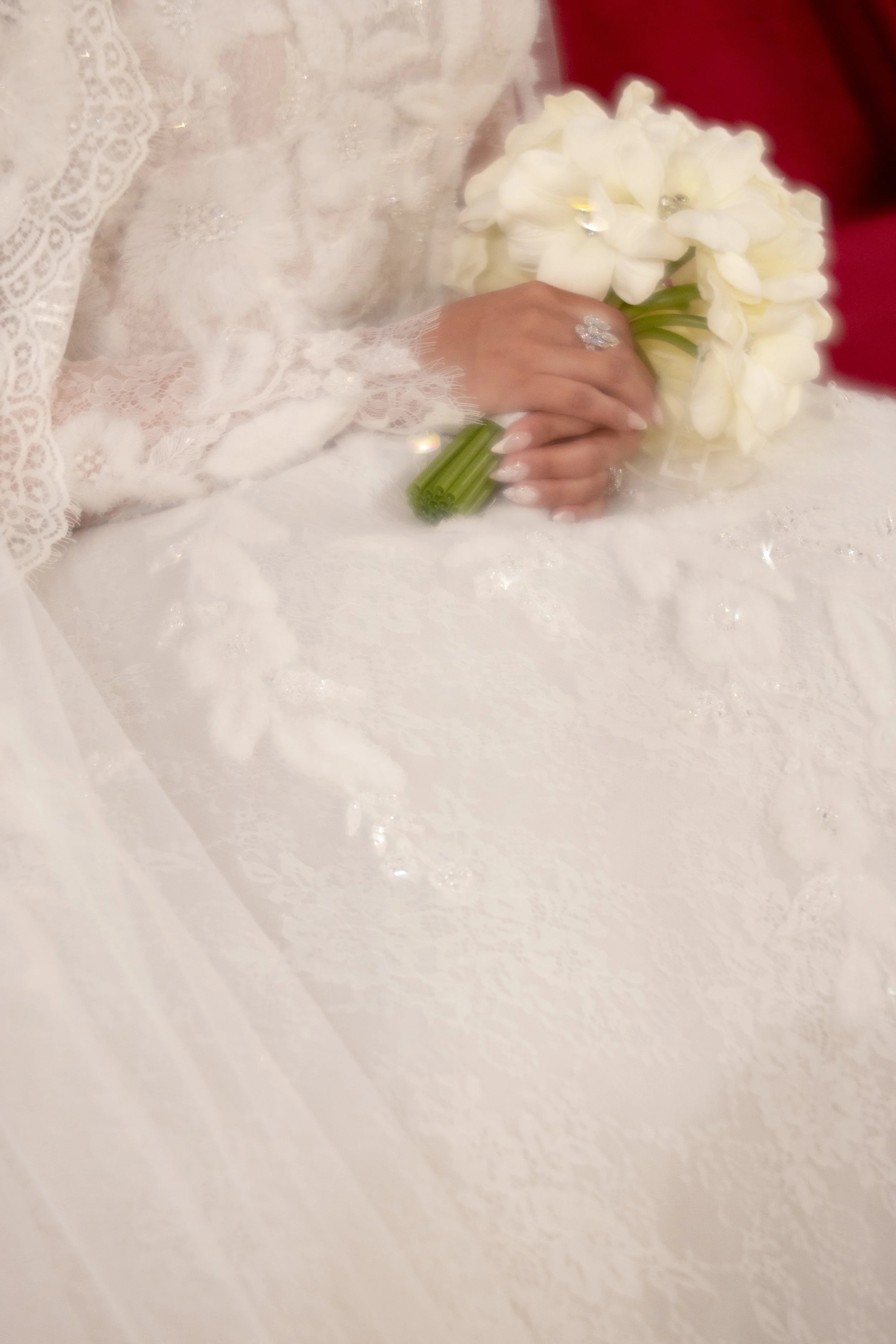 IMG-0362.jpg