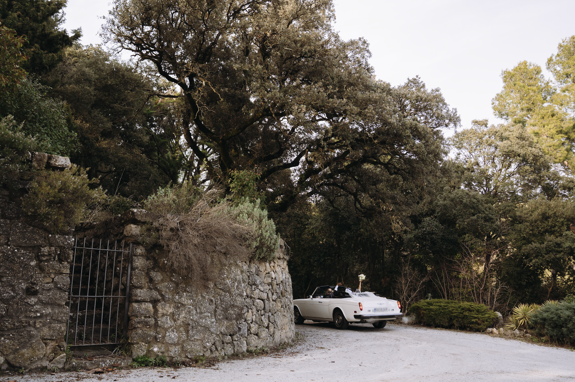 Снимок экрана 2026-03-31 в 17.15.31.png