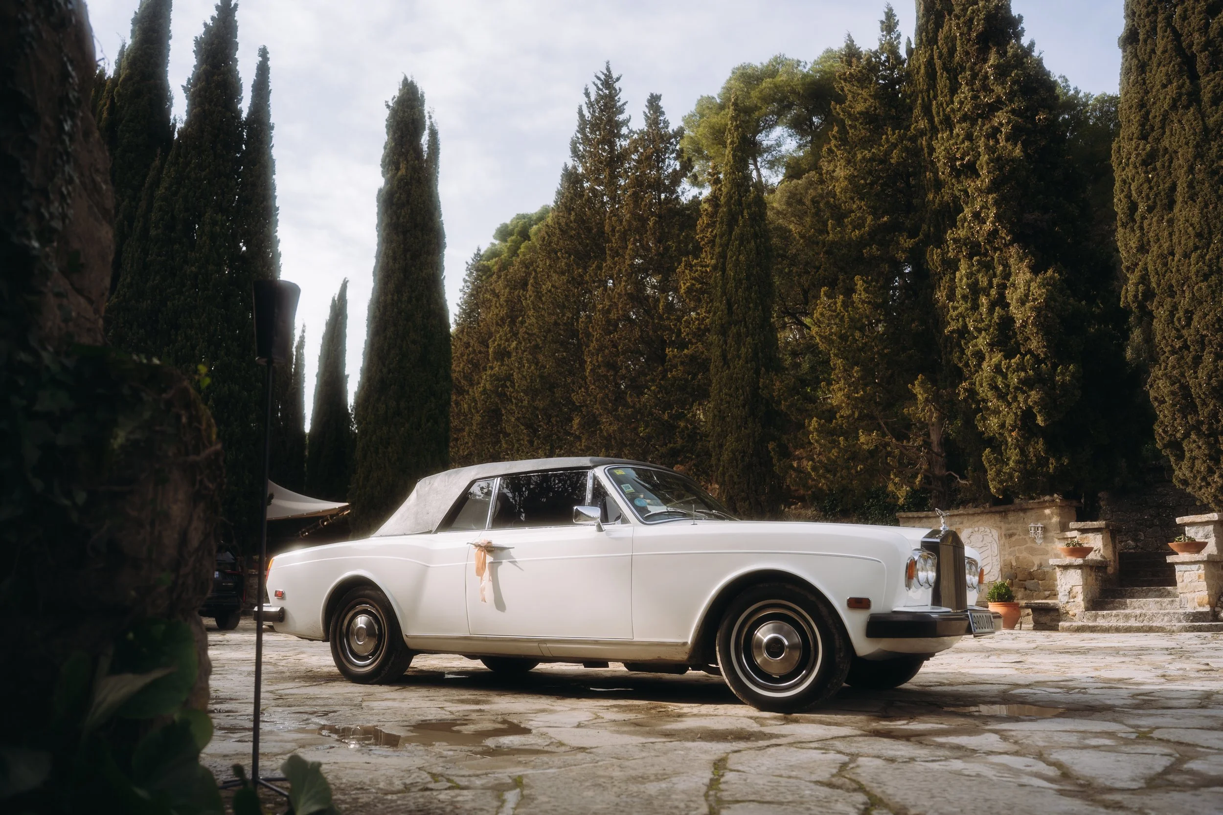 28.01.26 H&E_720.jpg