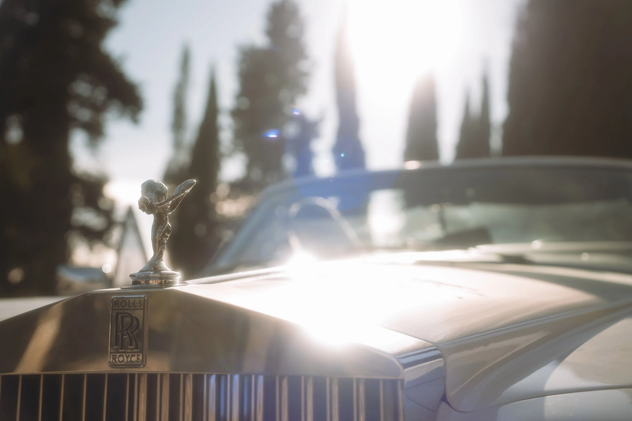 28.01.26 H&E_726.jpg