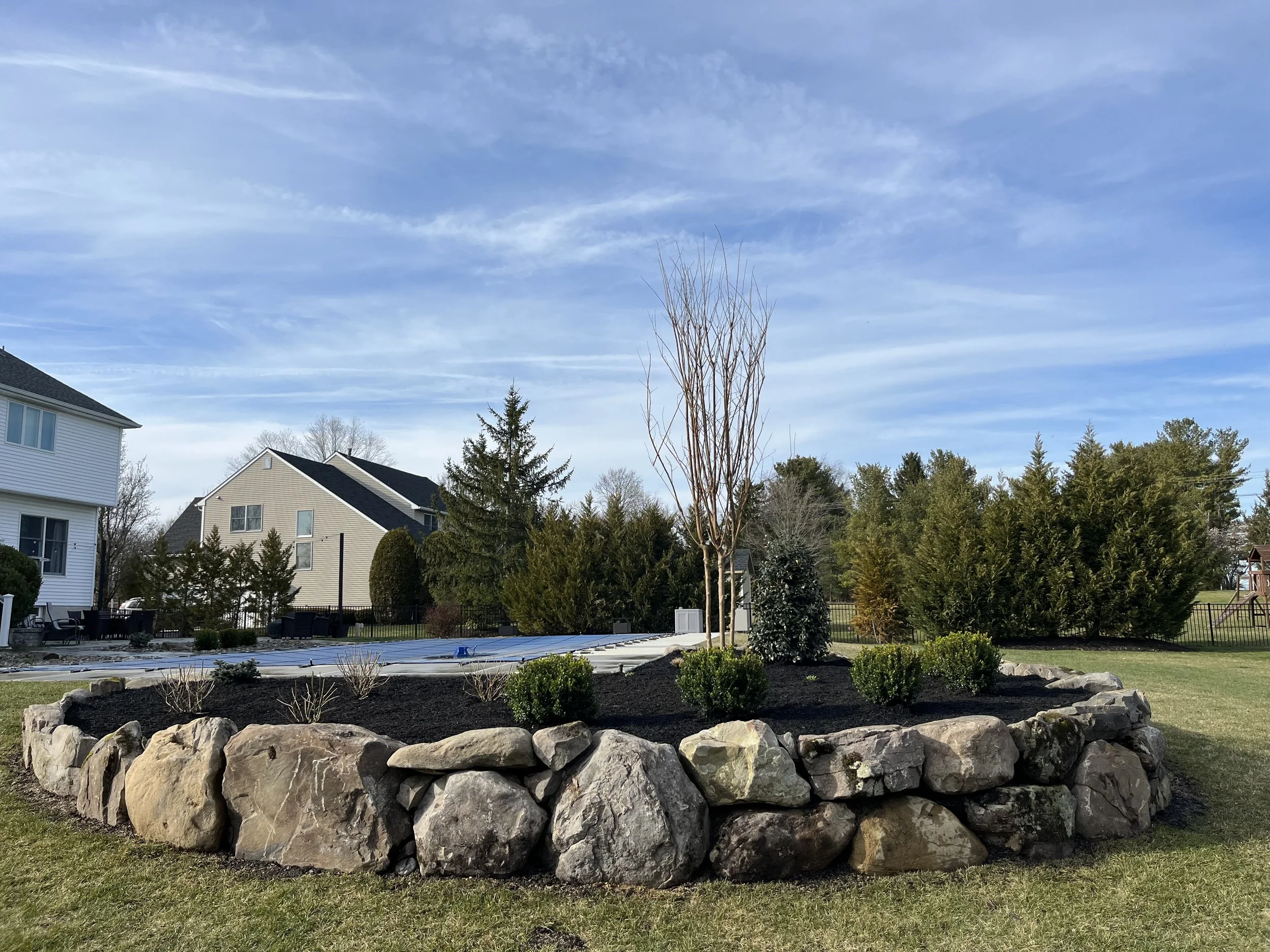 A landscaped yard with a circular rock border, small bushes, an undecorated young tree, and a larger evergreen tree in a suburban neighborhood, under a blue sky with wispy clouds.
