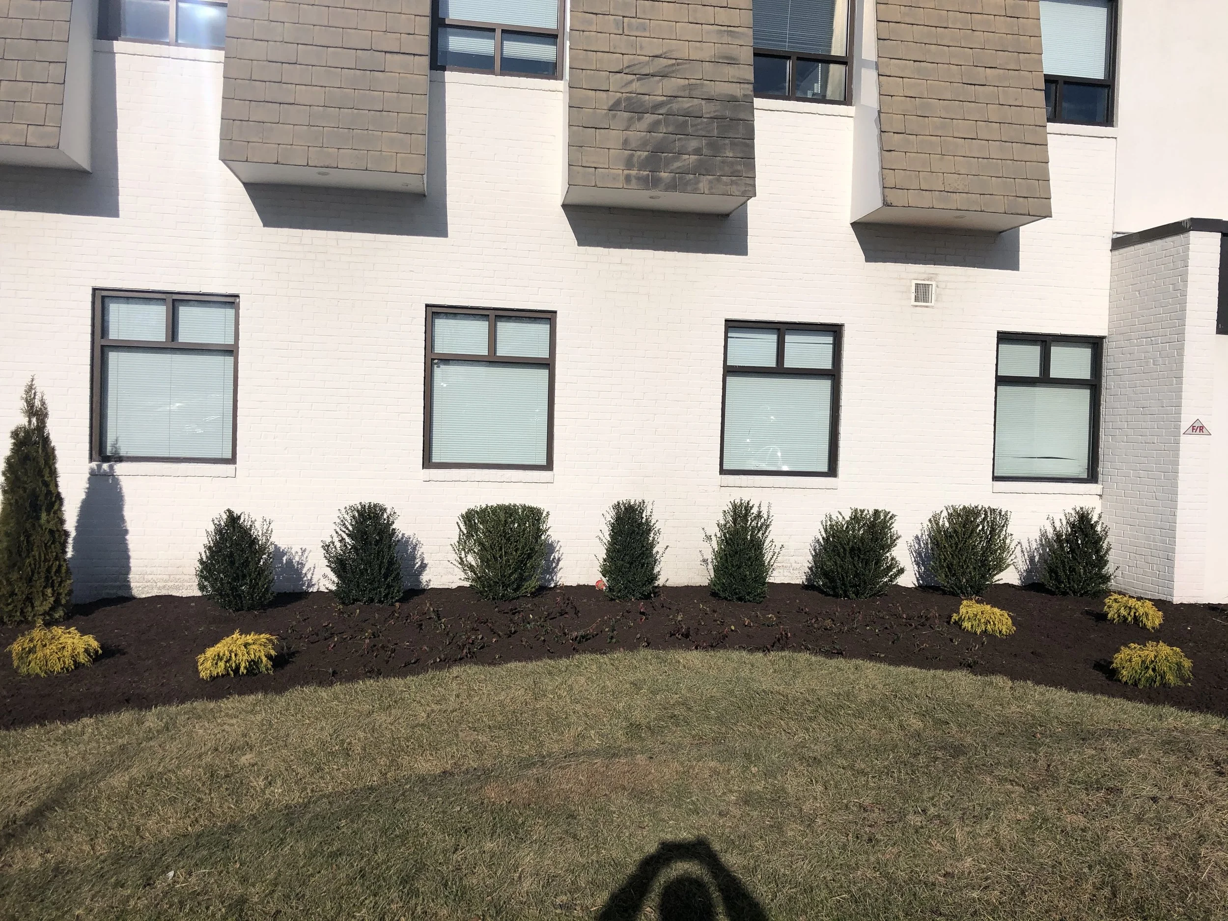 The image depicts the exterior of a modern building with white brick walls, several windows with black frames, and small bushes planted along the base of the building. The landscaping features neatly trimmed bushes and a patch of grass in the foregro