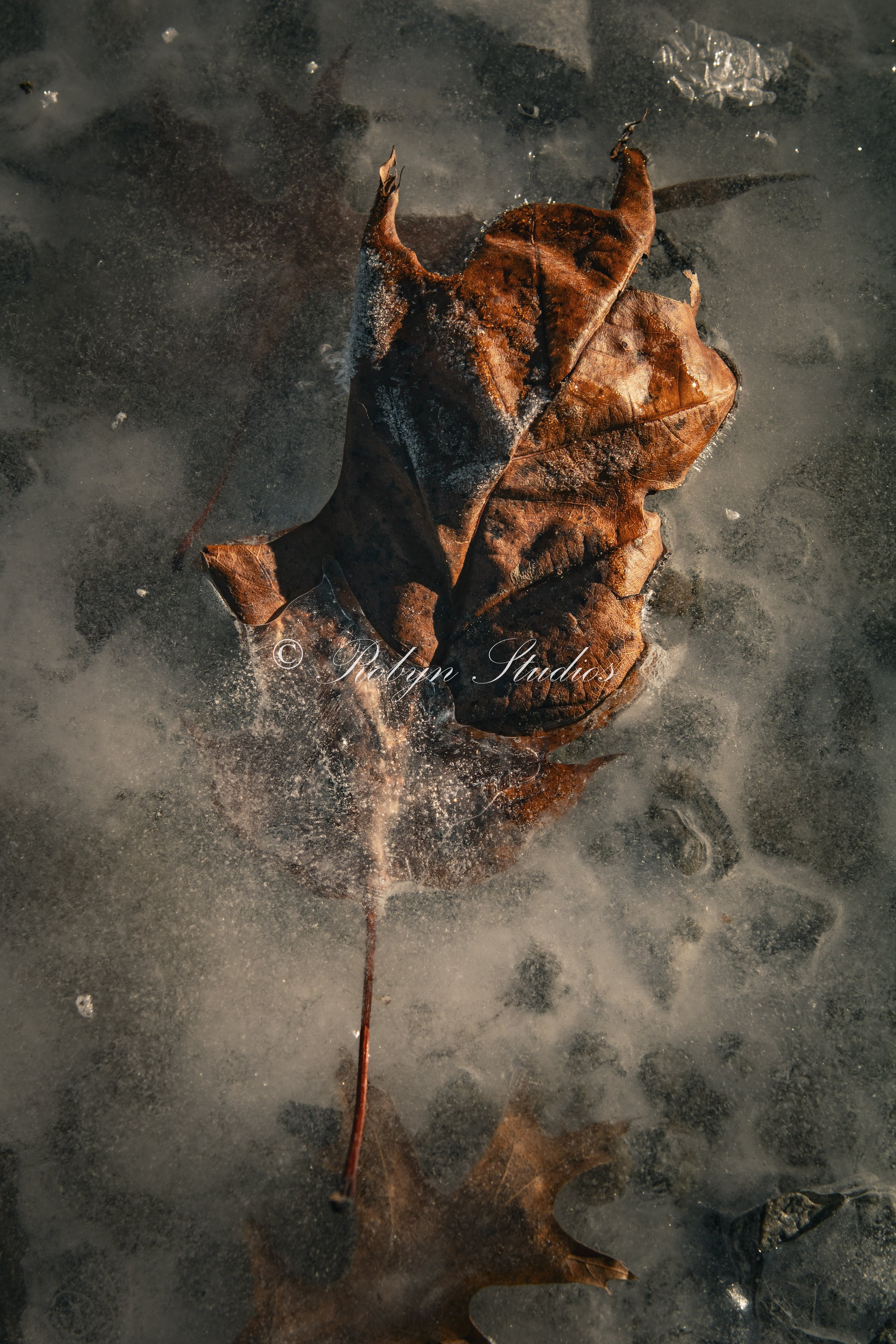 Transition