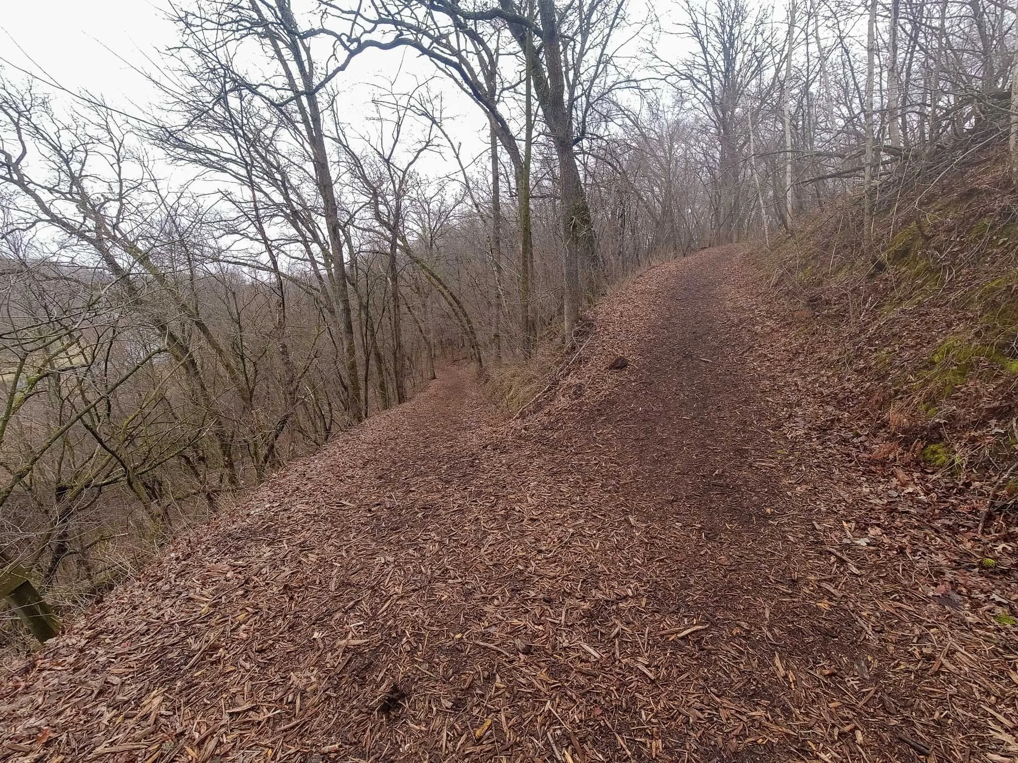 Hiking Freeman House to Kinni Trail in April-13.jpg