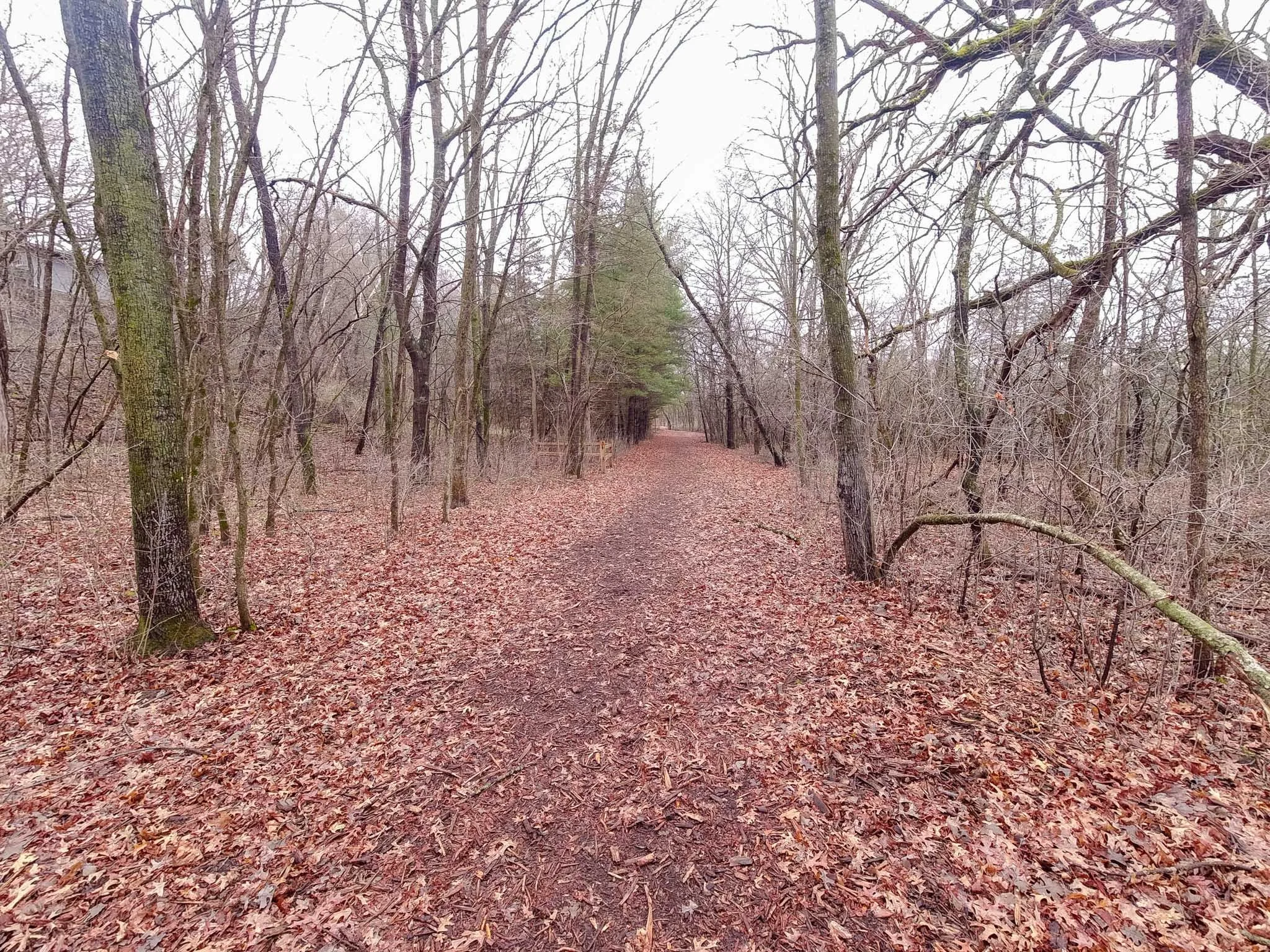 Hiking Freeman House to Kinni Trail in April-9.jpg