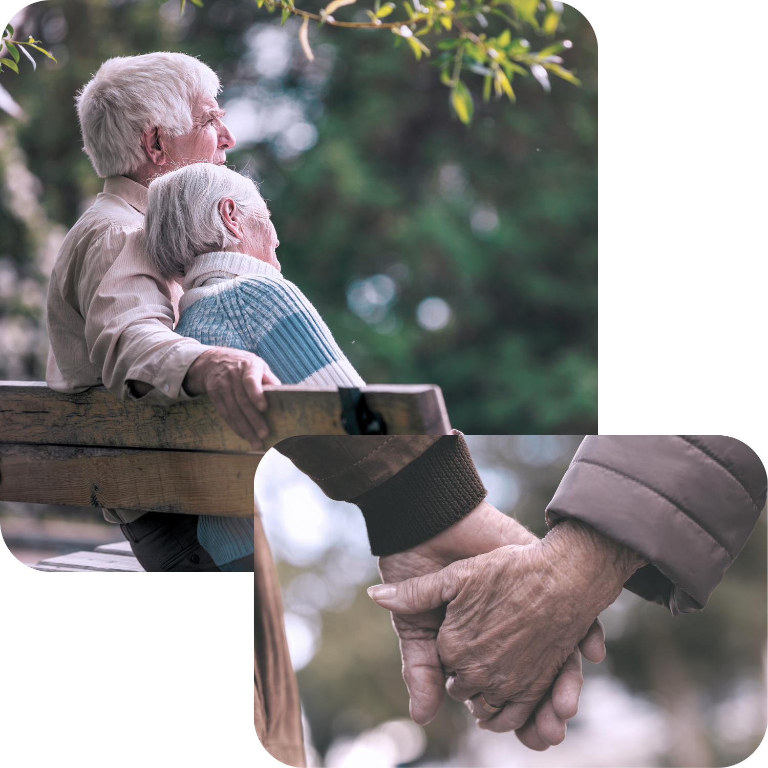 An elderly couple sitting on a park bench, holding hands, and enjoying each other's company. Retirement should be stress-free. Learn how to safeguard your savings and secure your financial future with a straightforward strategy.