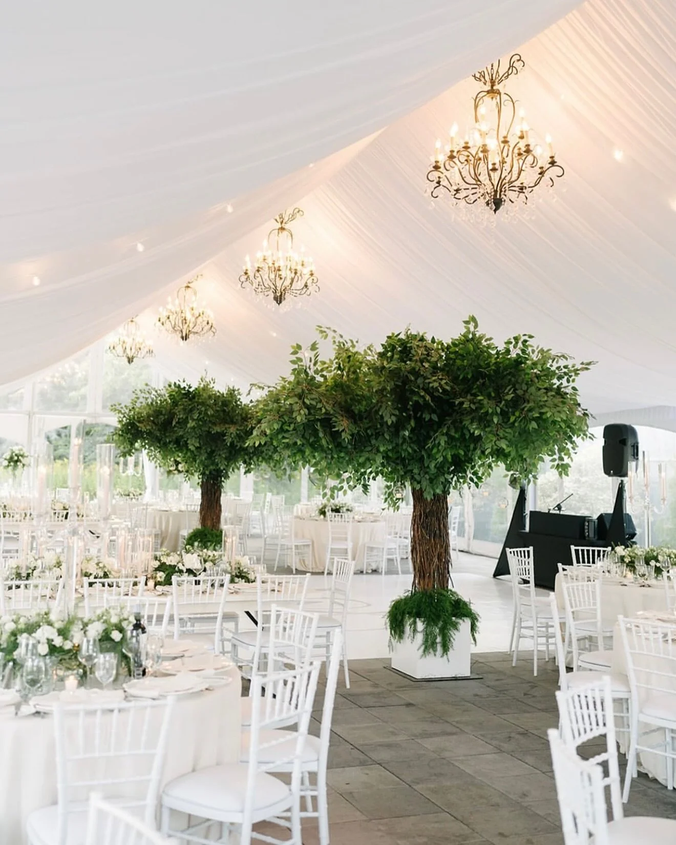 Ficus Trees in action. 

#TorontoWeddings #LuxuryWeddingsToronto #HighEndWeddings #TorontoBrides
#TorontoEventPlanners #LuxuryWeddingPlanning #TorontoWeddingExperts
#ExclusiveWeddings #TorontoEliteWeddings #BespokeWeddings #OpulentWeddings #CuratedWe