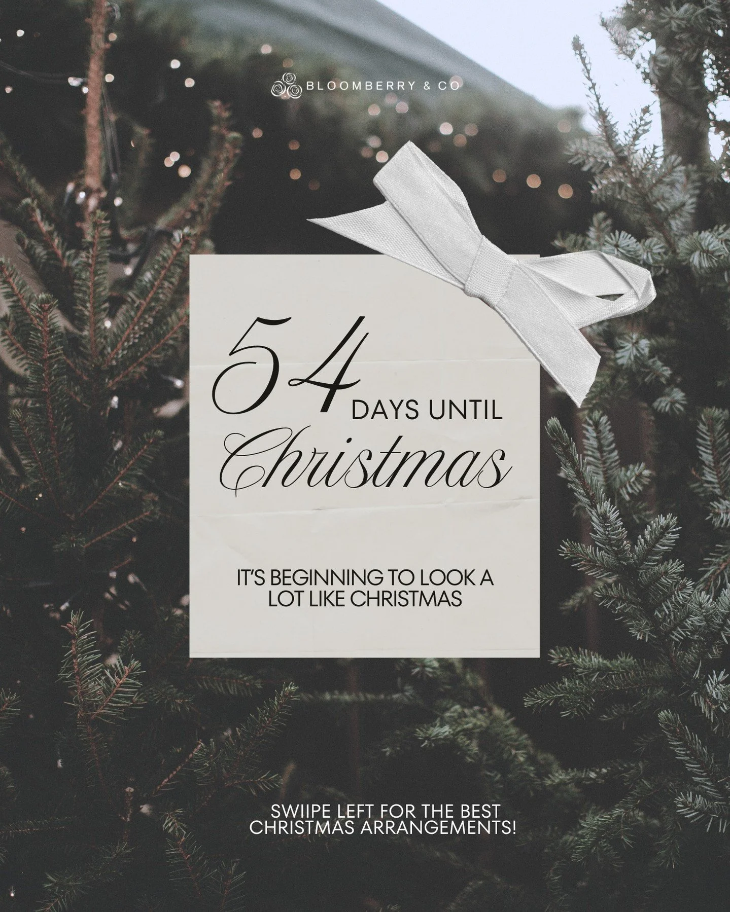 It's time! ‧₊˚🎄✩ ₊˚🦌⊹♡

Our Christmas Collection is up on our website. Pre-order for all your Christmas gatherings of the season. May it be office, home or with friends and family. 

#ScarboroughFlorist #TorontoFlorist #DurhamRegion #DurhamFlowers 