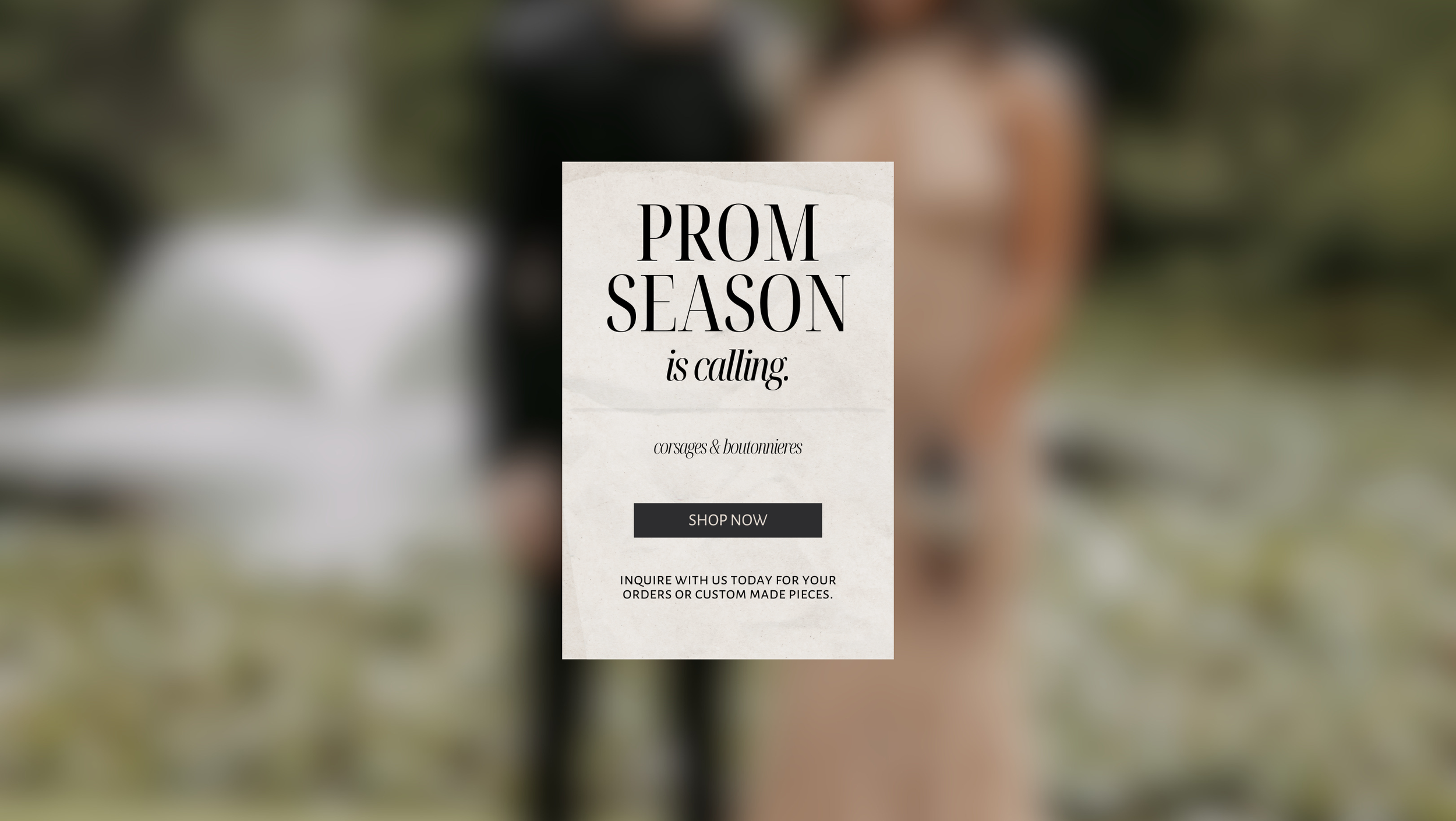 Banner for Website (9).png