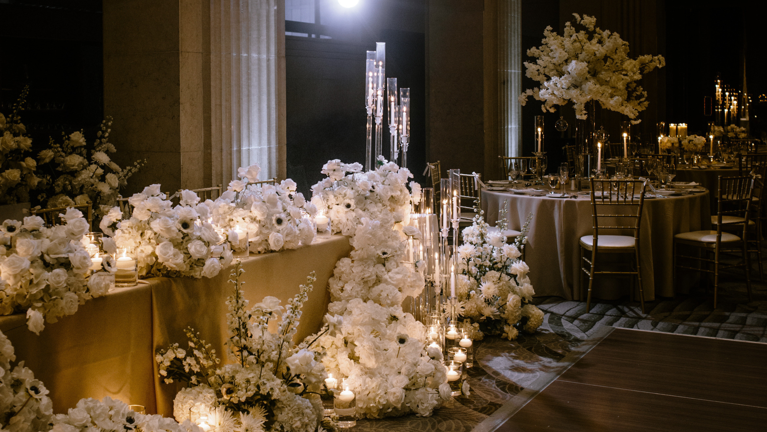 Banner for Website (8).png