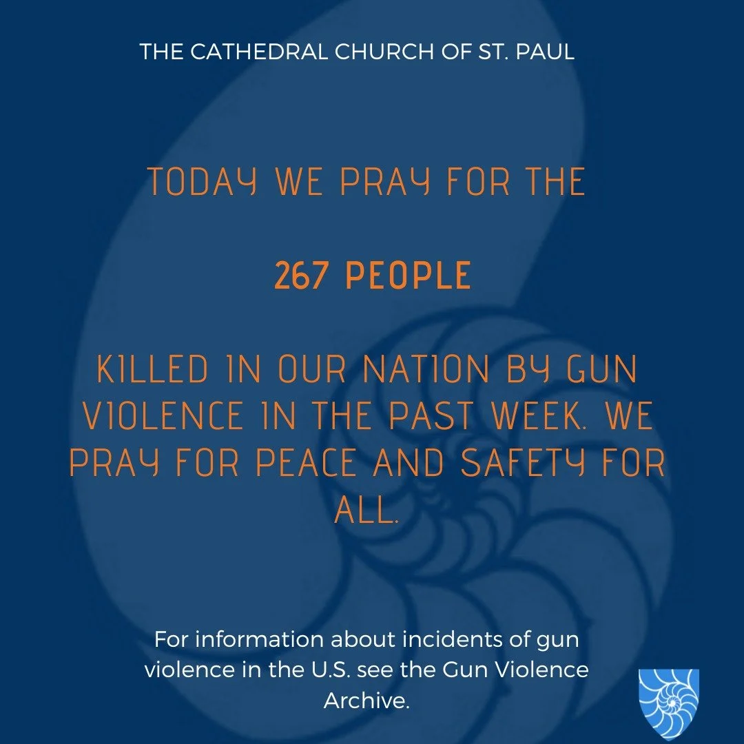We pray for the 267 people killed in our nation by gun violence in the past week. We pray for peace and safety for the people of our nation and of all nations.

#stpaulscathedral #cathedral #cathedralofboston #TheCathedralChurchofStPaul #houseofpraye