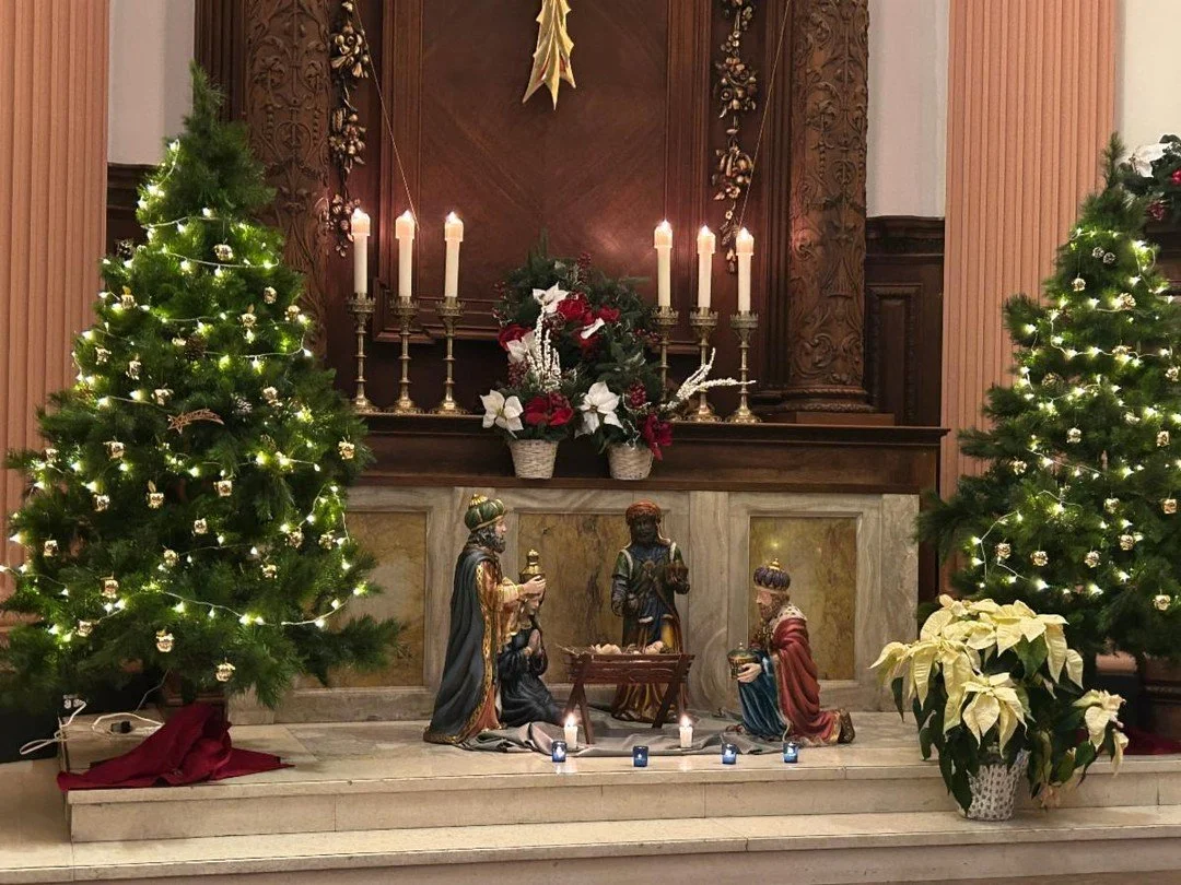 Read this week's Nautilus News!
Link in bio.

https://conta.cc/497rOwg