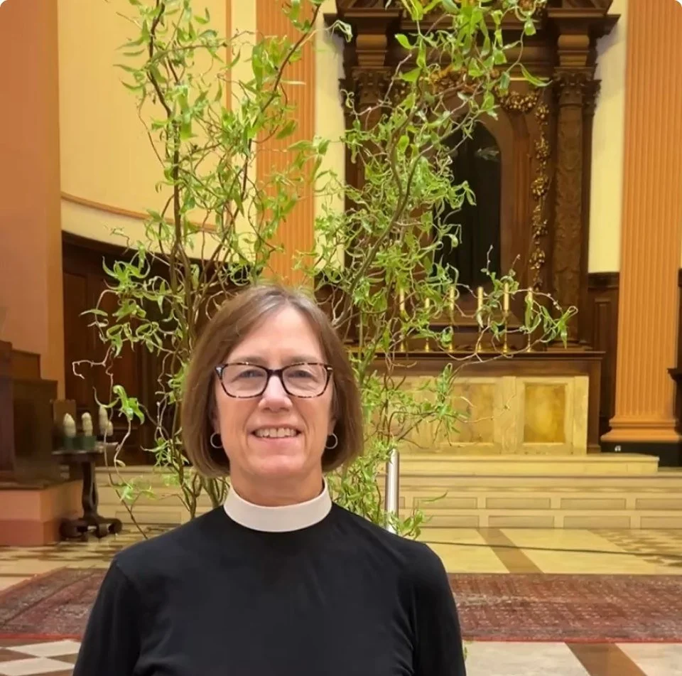 Read this week's Nautilus News!
Link in bio.

https://conta.cc/3PuzUaX