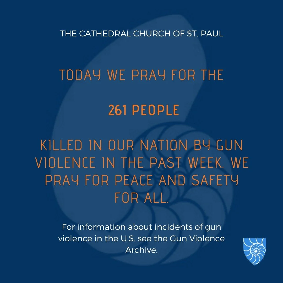 We pray for the 261 people killed in our nation by gun violence in the past week. We pray for peace and safety for the people of our nation and of all nations.

#stpaulscathedral #cathedral #cathedralofboston #TheCathedralChurchofStPaul #houseofpraye