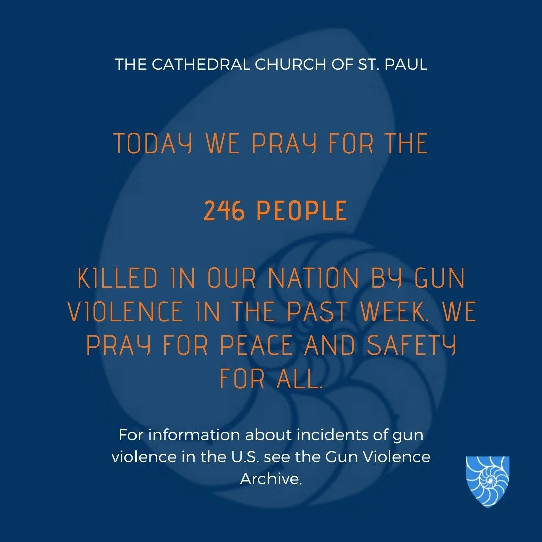 We pray for the 246 people killed in our nation by gun violence in the past week. We pray for peace and safety for the people of our nation and of all nations.

#stpaulscathedral #cathedral #cathedralofboston #TheCathedralChurchofStPaul #houseofpraye