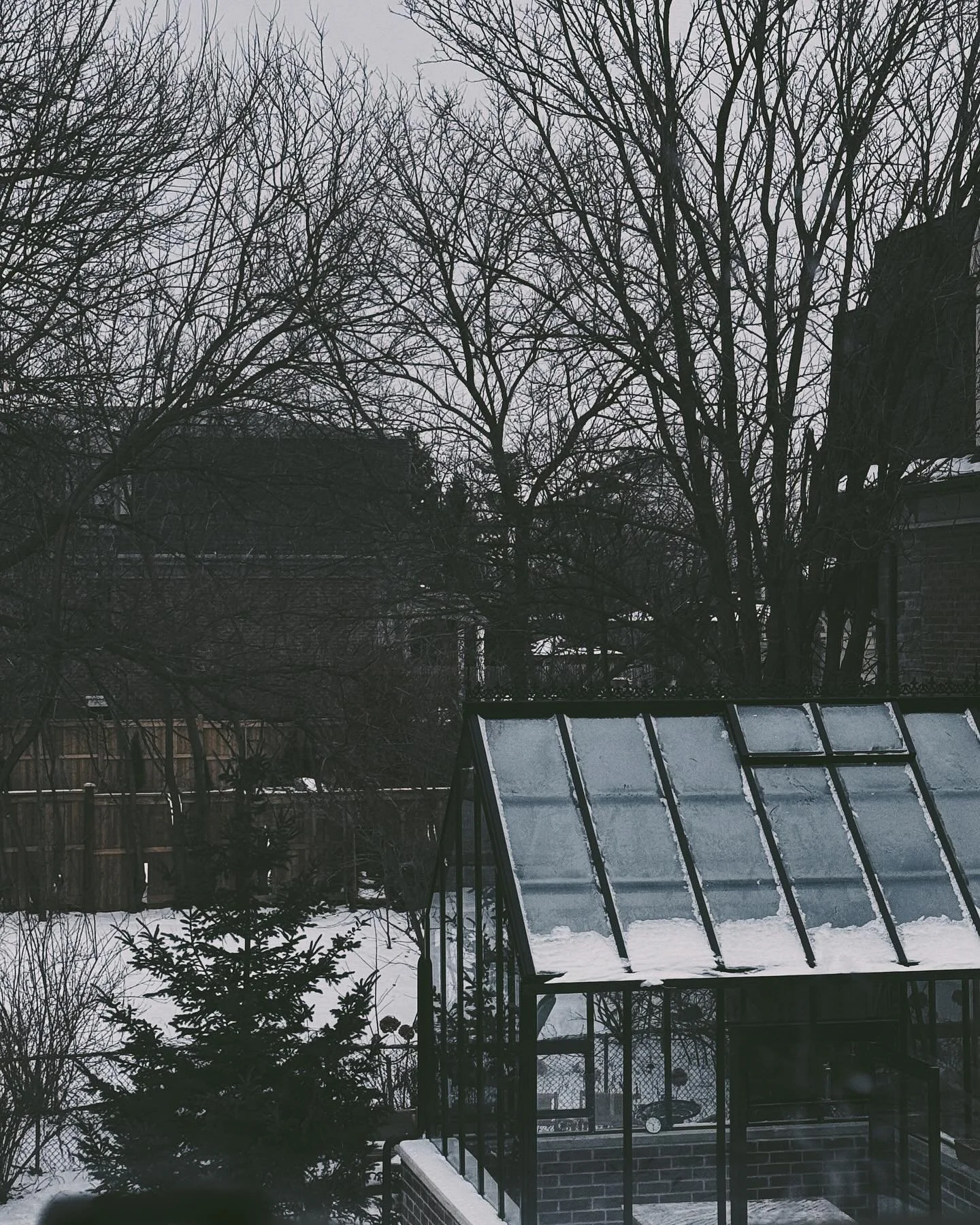 From the upstairs window.