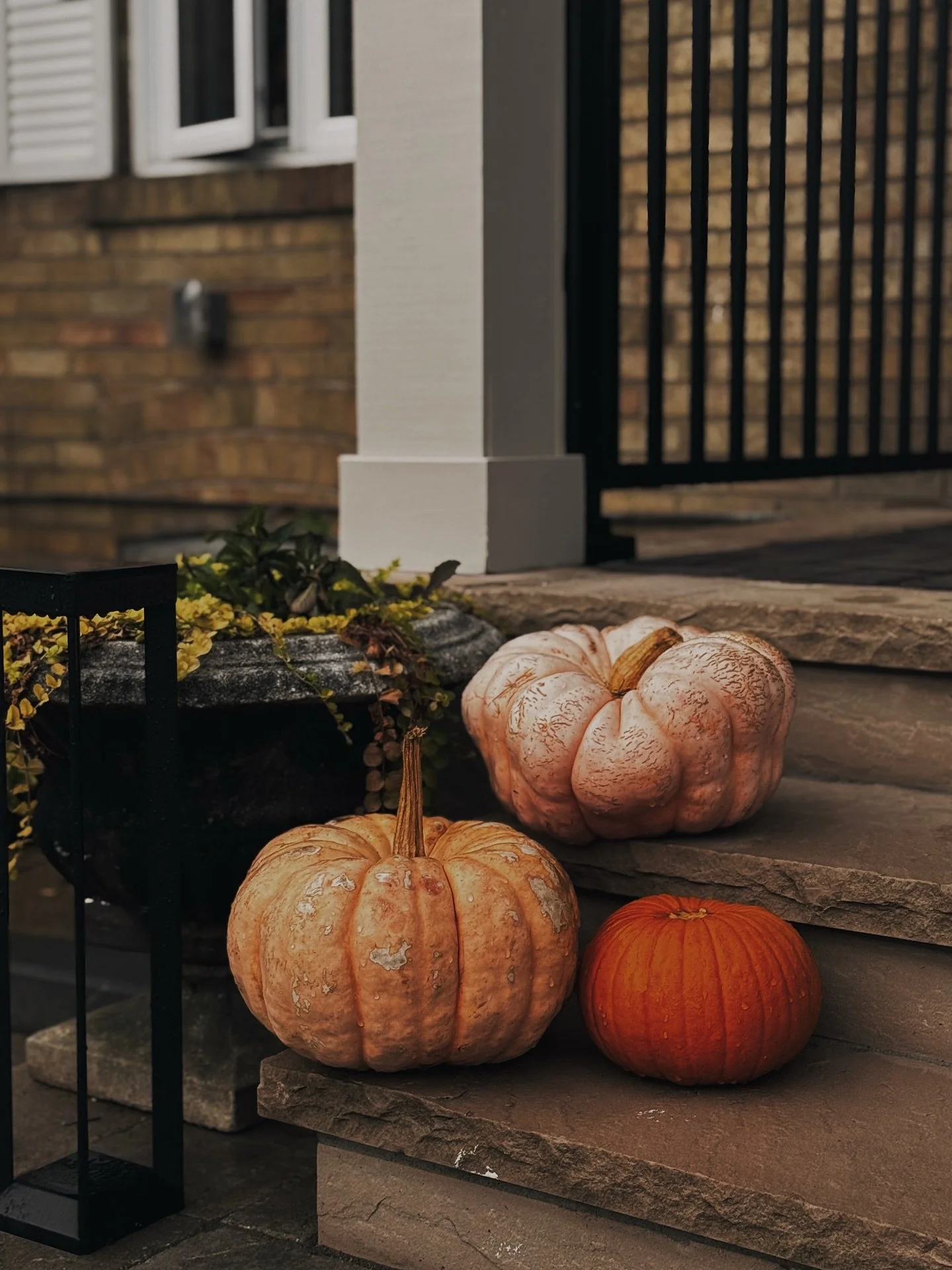 The progress on our porch build.  #interiordesign #renovation #studiopattan