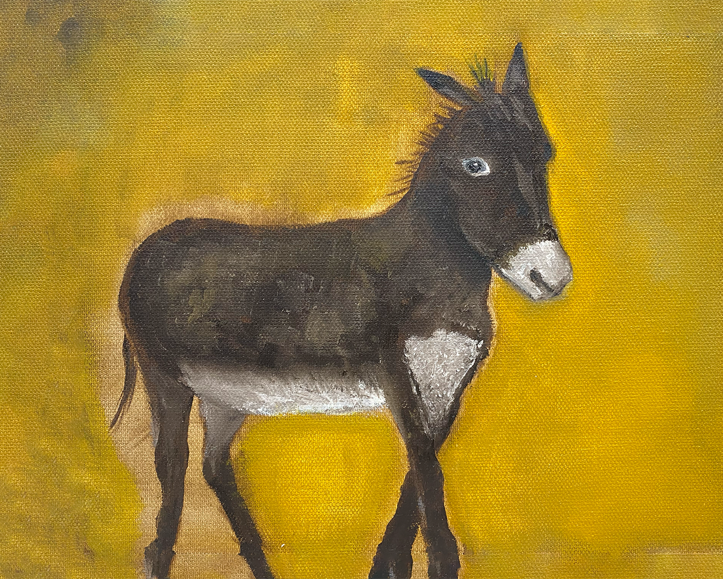 Wild Burro Art Print 8x10