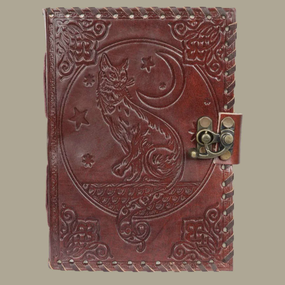 journal- cat and moon.PNG