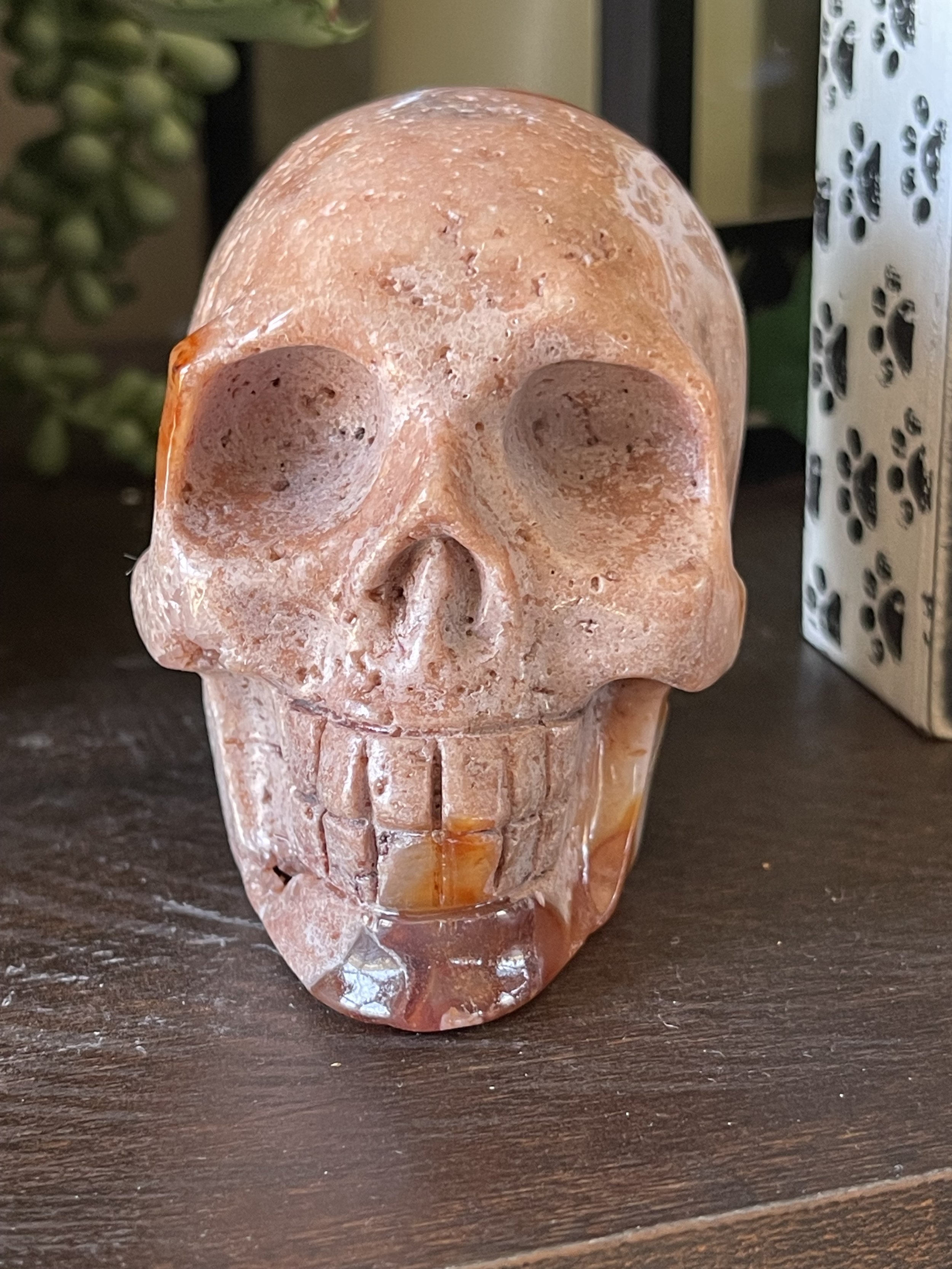 carnelain skull 2.5.jpg