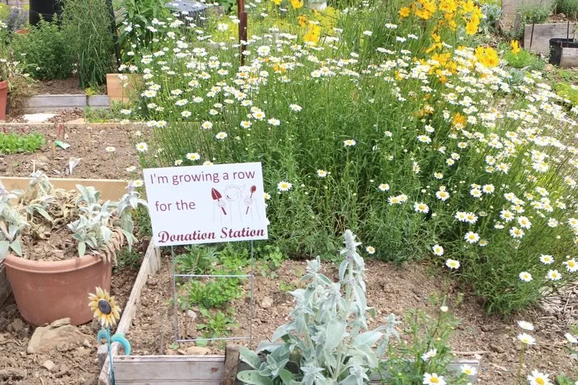 a flower bed that has a sign in it which says "I'm growing a row for the Donation Station"