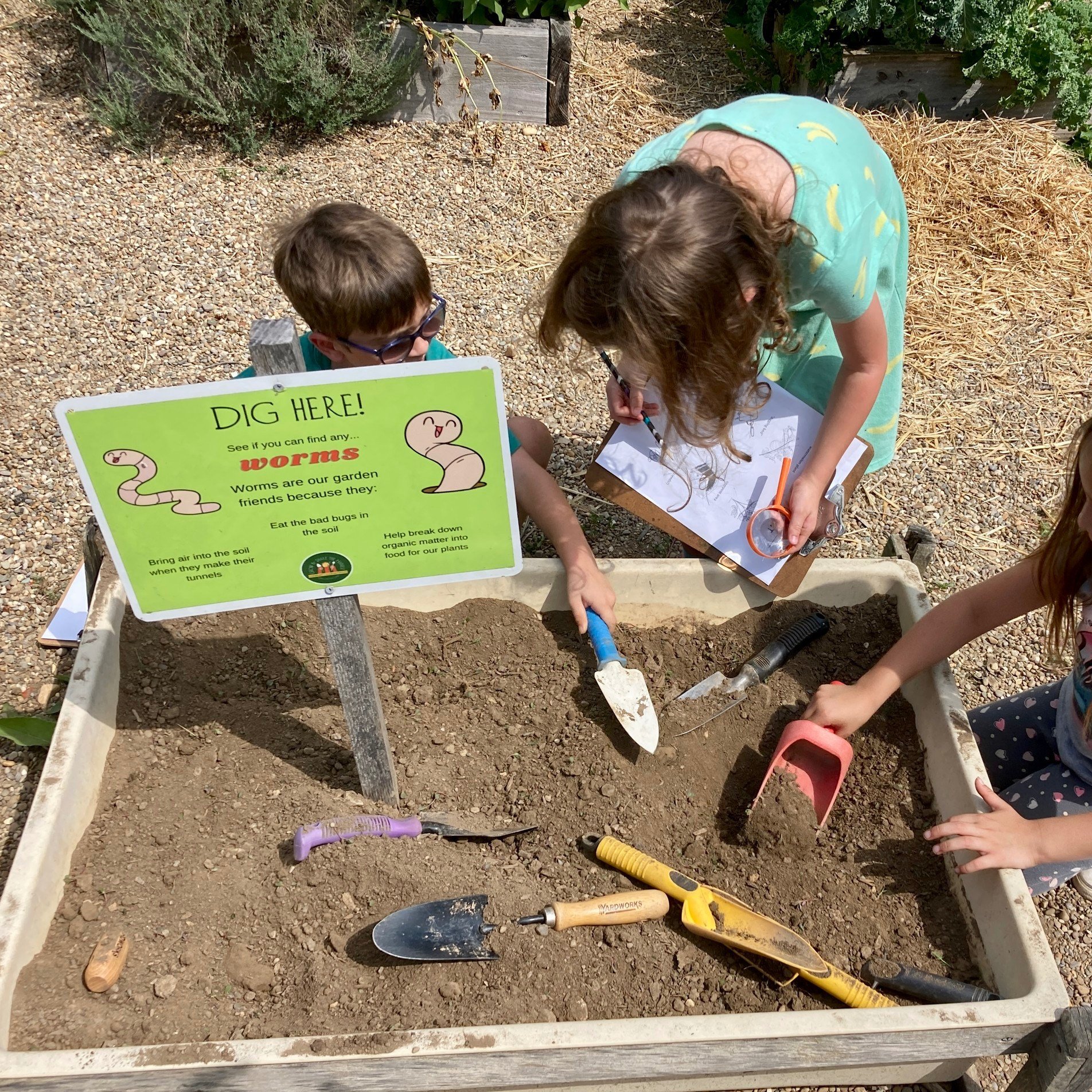 kids digging in a garden with hand trowels