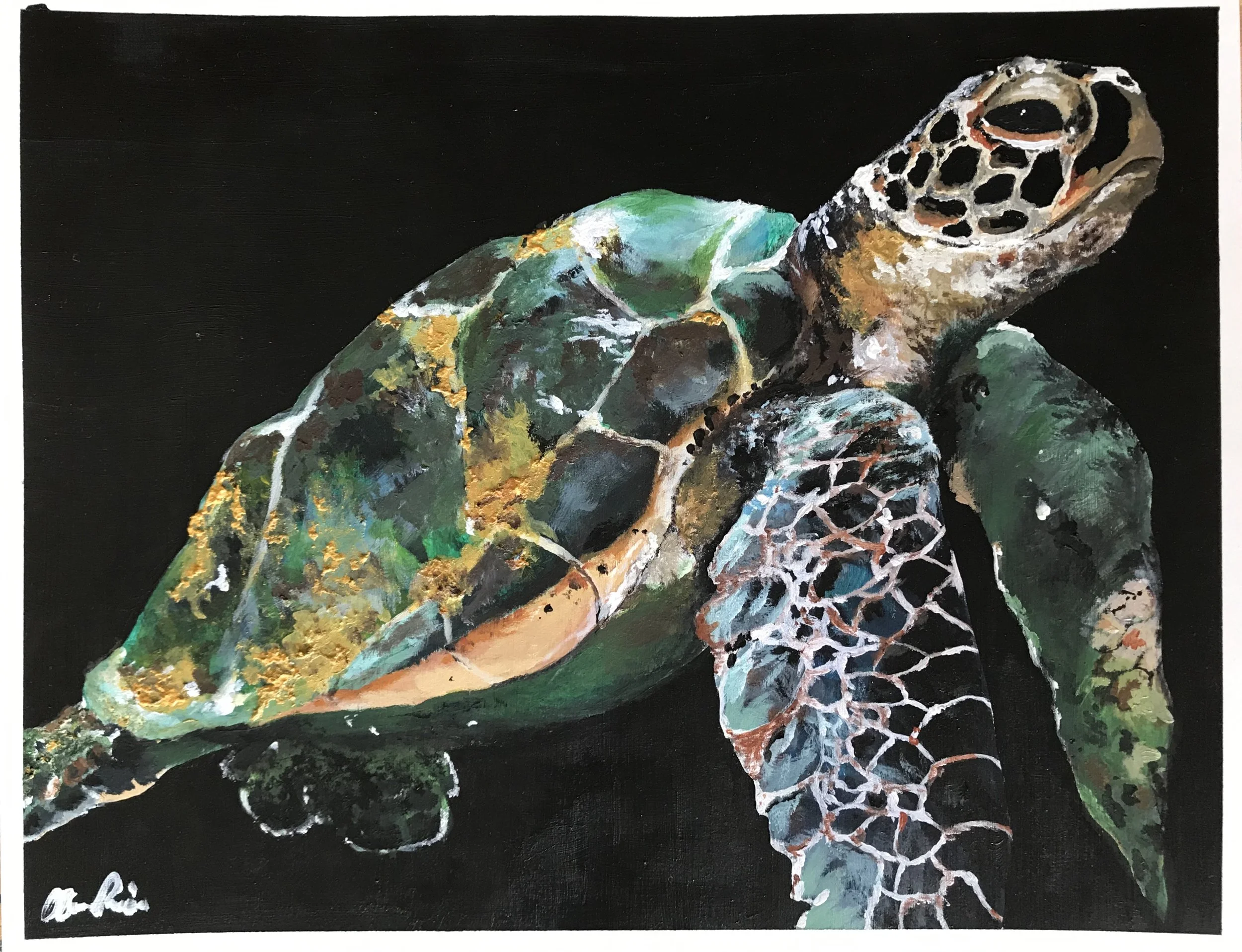 Turtle in Black, Acrylic on Paper