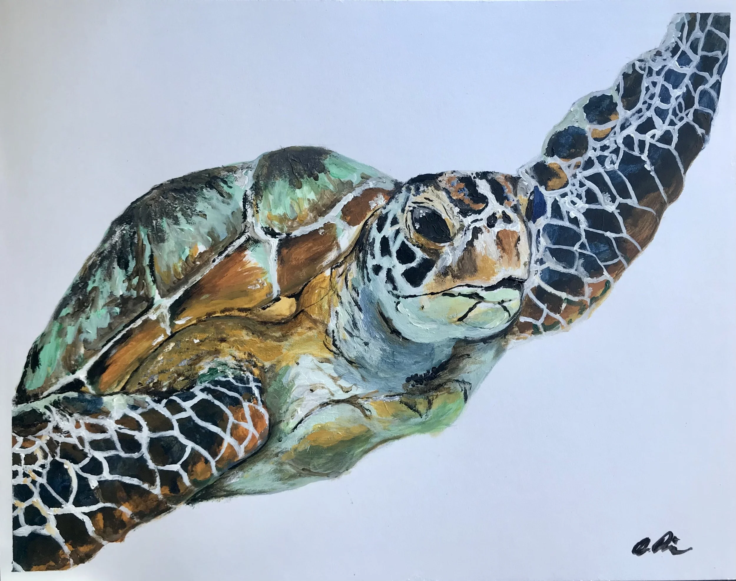 Seafoam Turtle, Acrylic on Paper