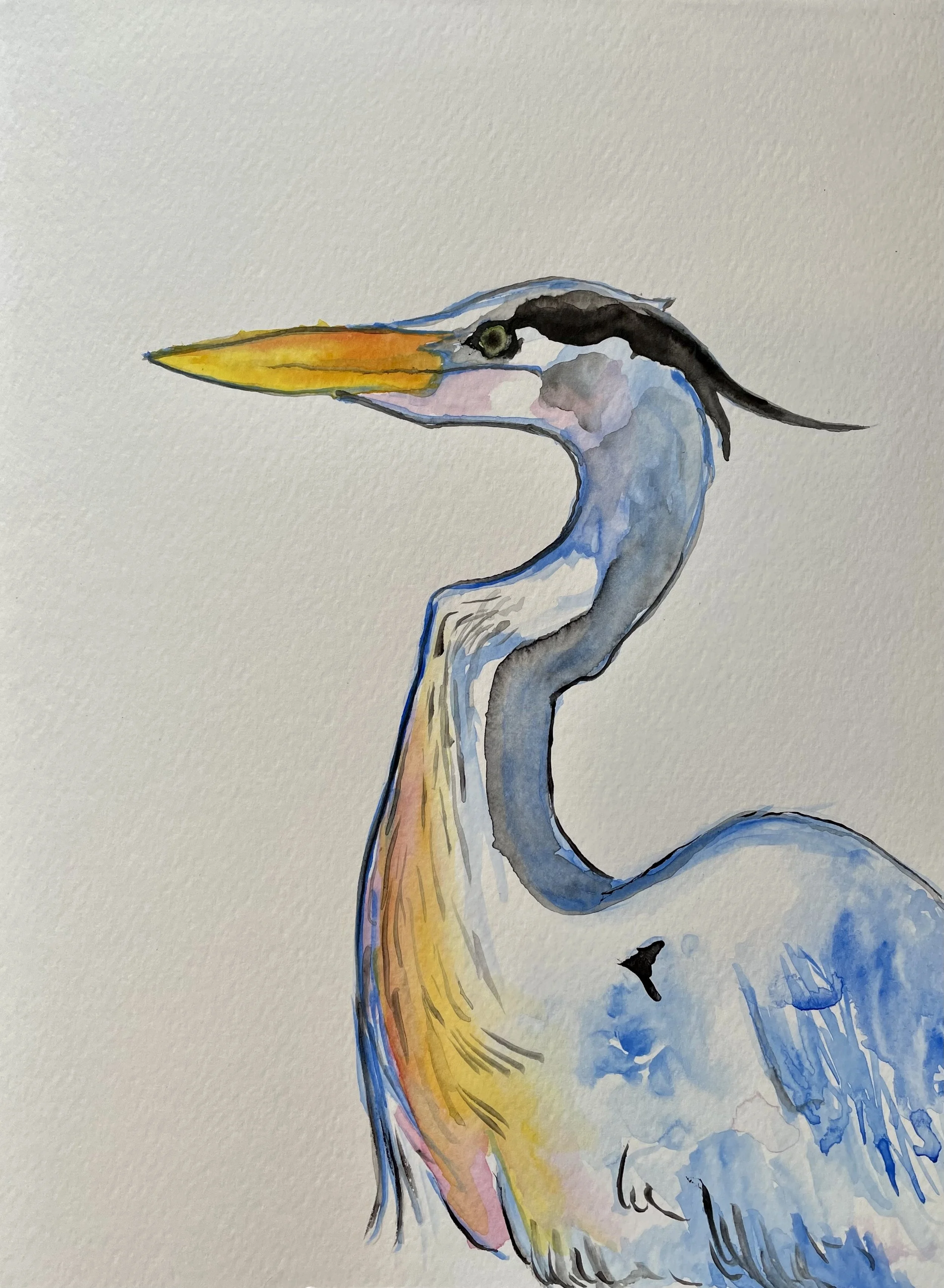 Great Blue, Watercolor on Paper