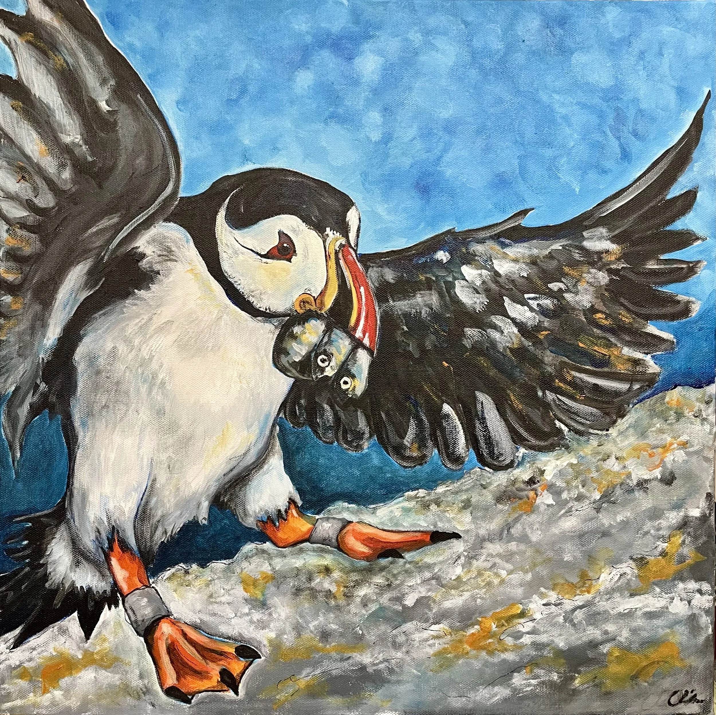 Puffin Landing, Acrylic on Canvas, Available