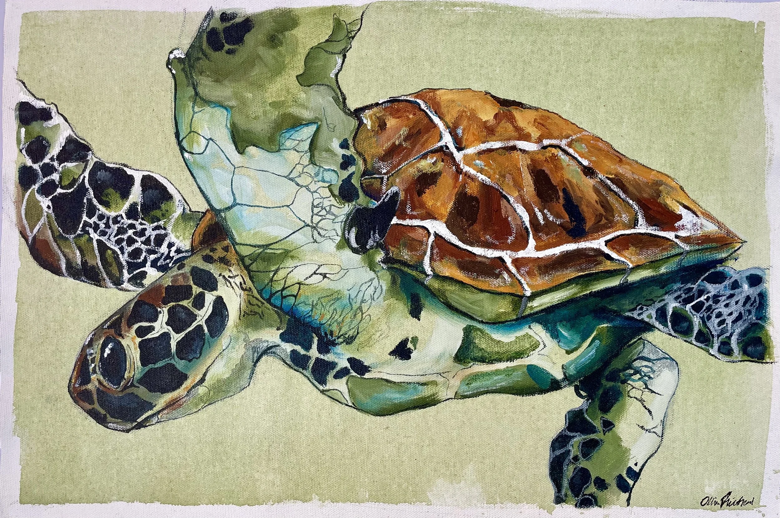 Turtle in Motion, Acrylic on loose canvas